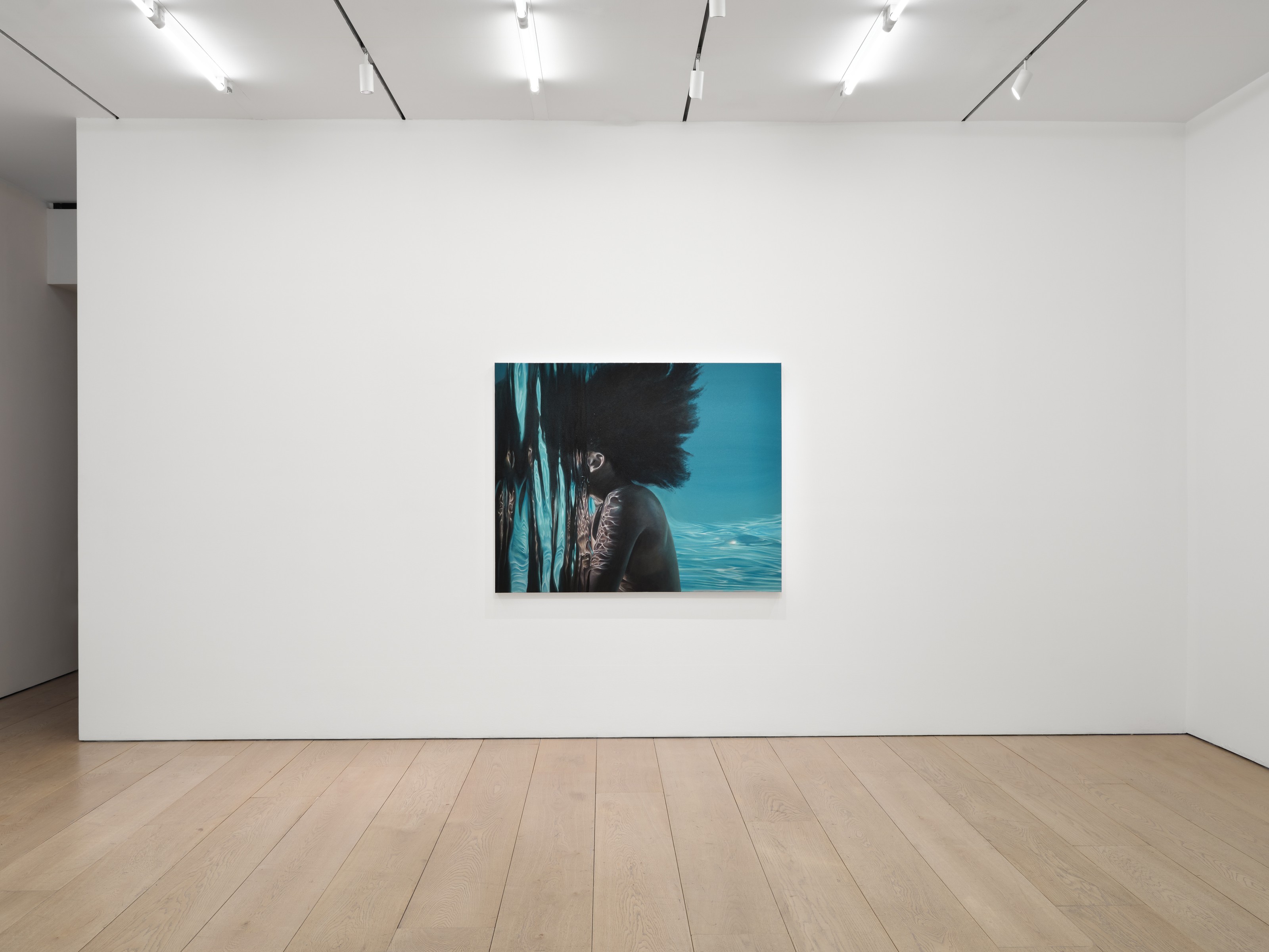Calida Rawles installation view