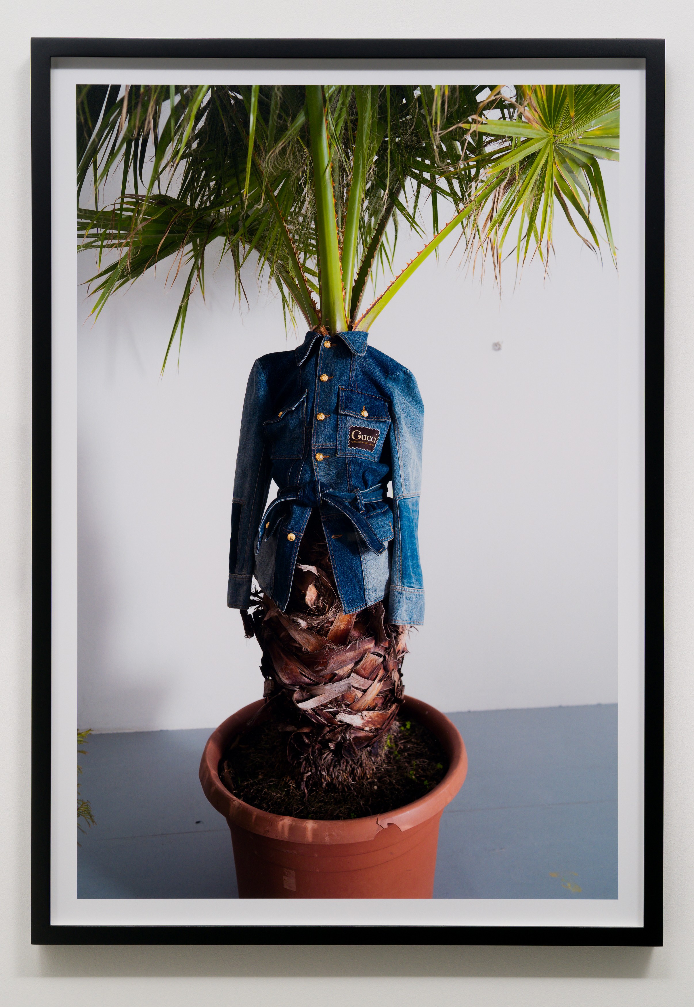 Photograph by Erwin Wurm