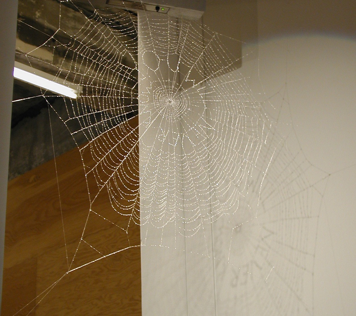 Sculpture by Bryan Crockett