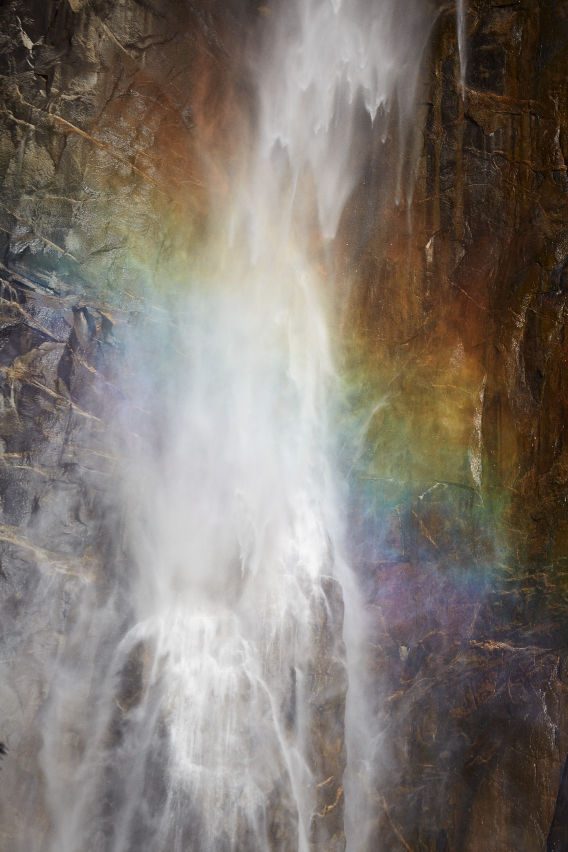 Photograph by Catherine Opie