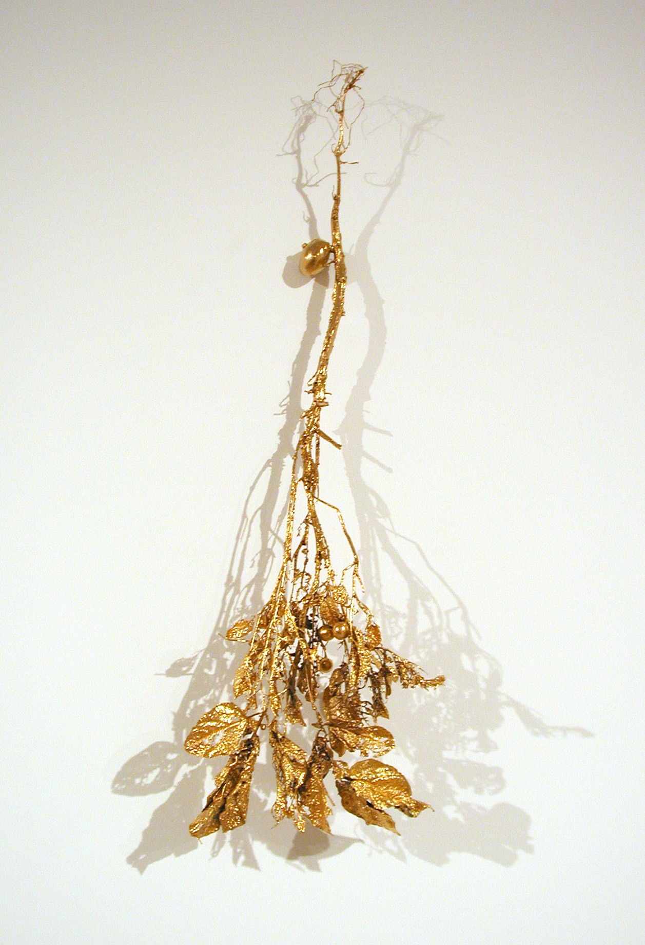 Sculpture by Anya Gallaccio