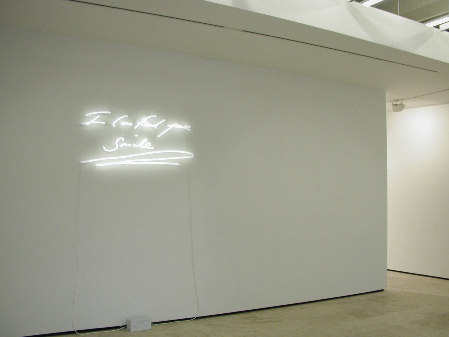 Installation view of I Can Feel Your Smile at Lehmann Maupin New York