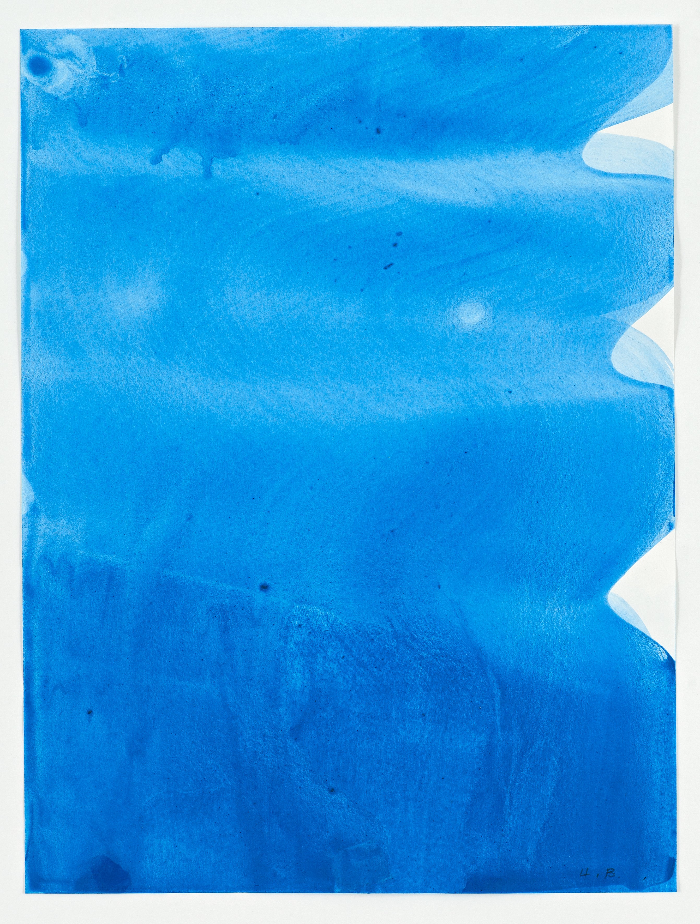 Work on paper by Heidi Bucher