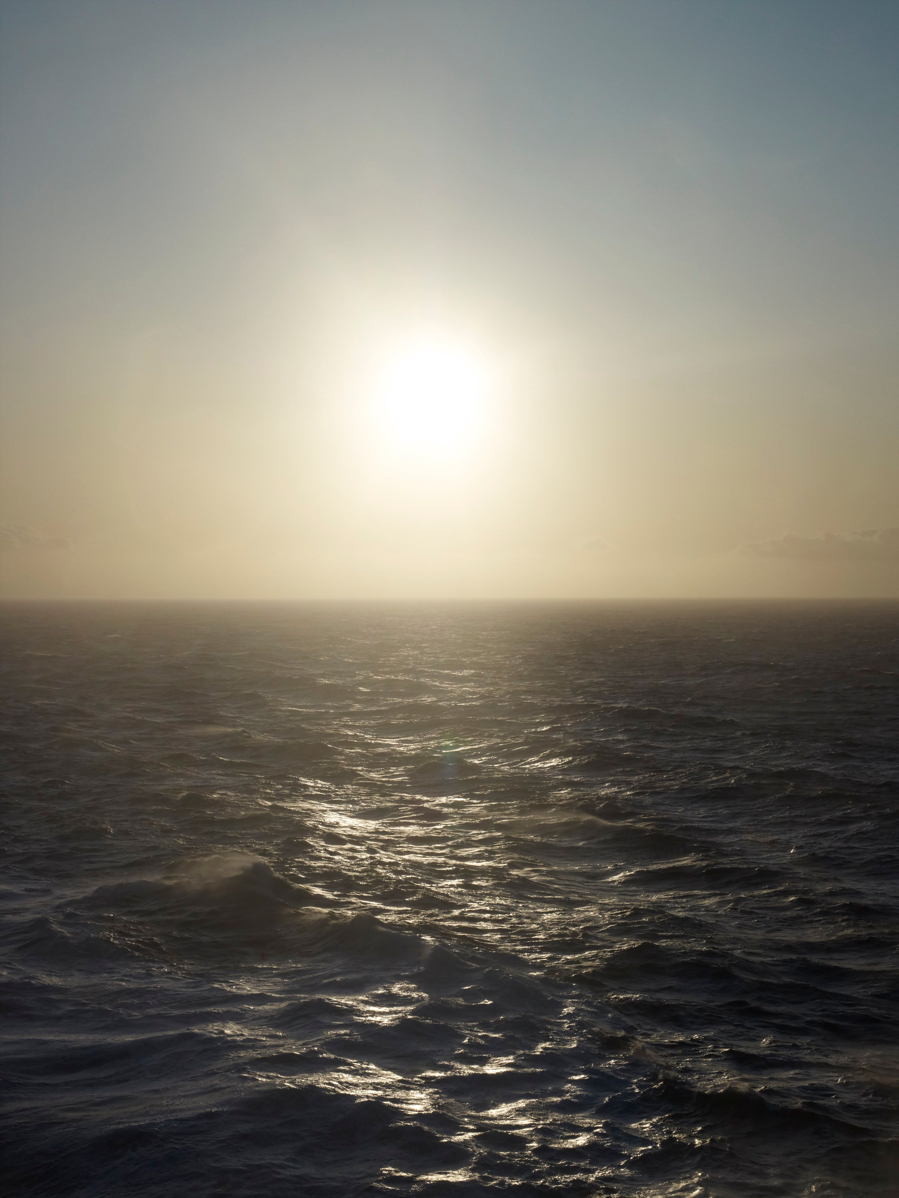 Photograph by Catherine Opie