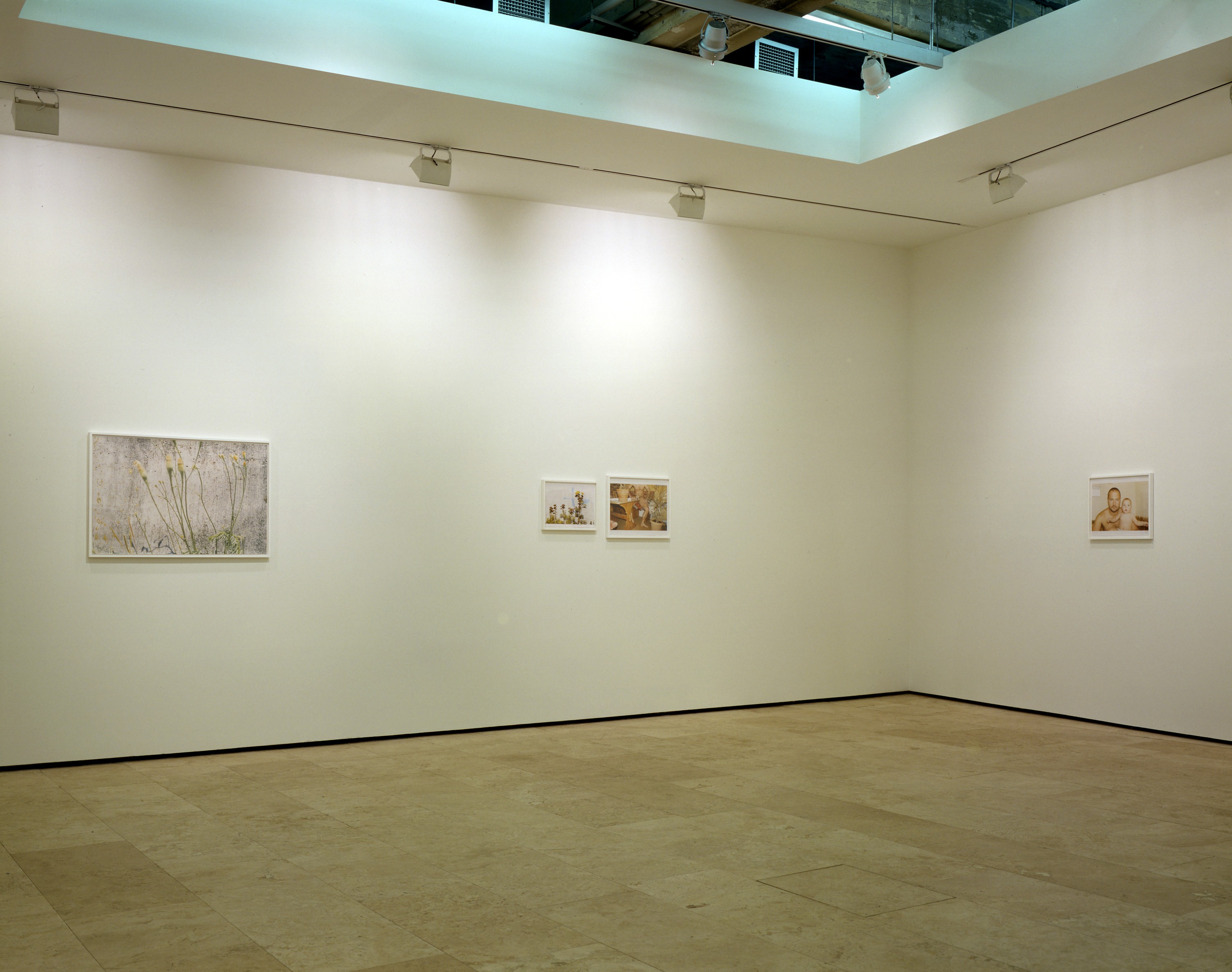Installation of Nürnberg at Lehmann Maupin New York