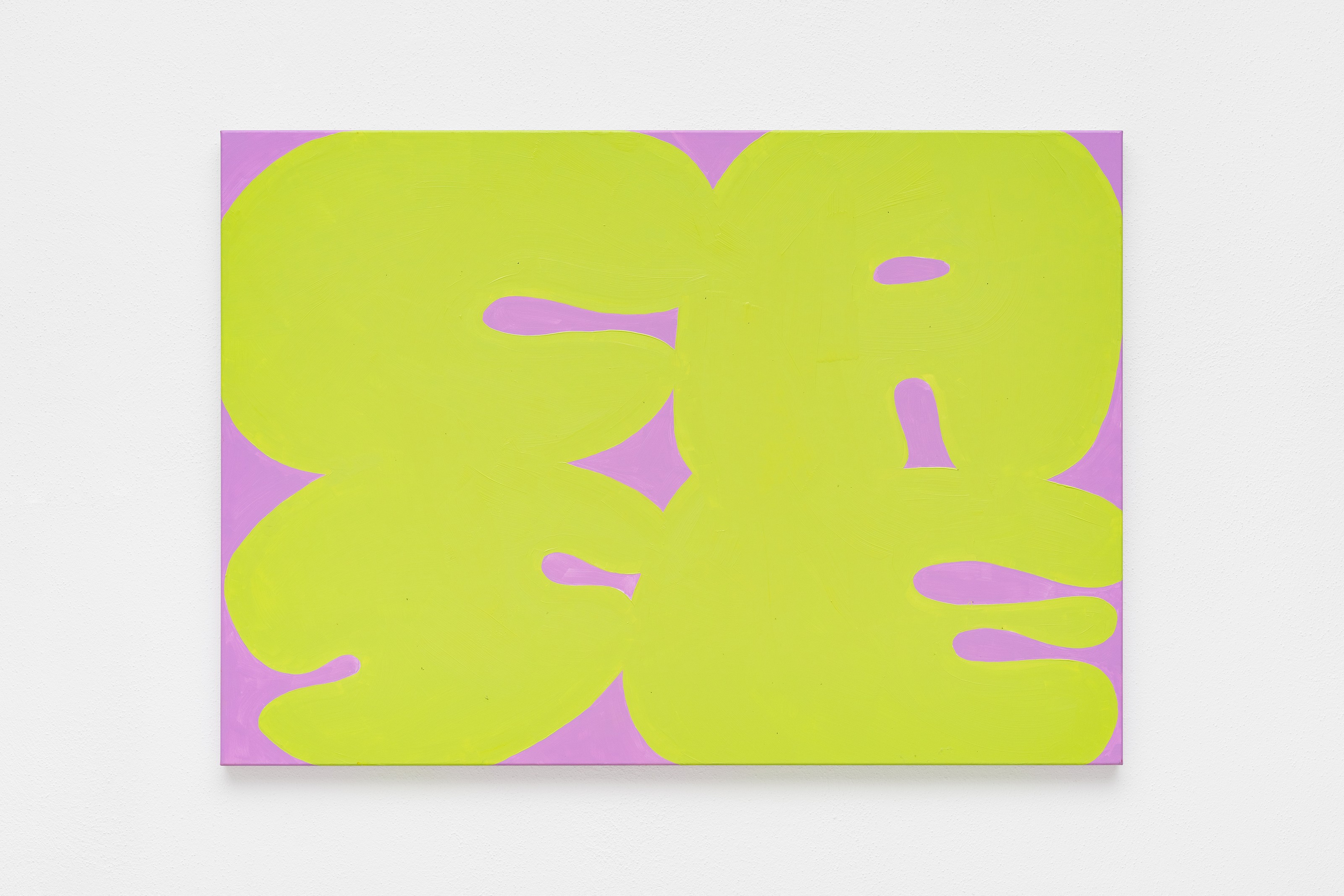 Work on canvas by Erwin Wurm