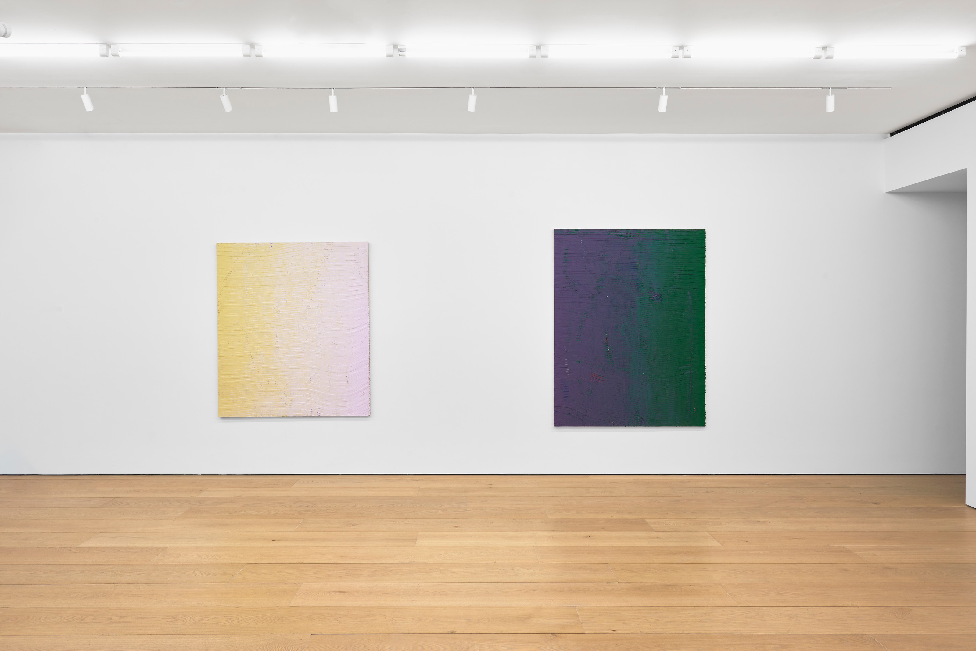 Installation view of Loriel Beltrán at Lehmann Maupin New York
