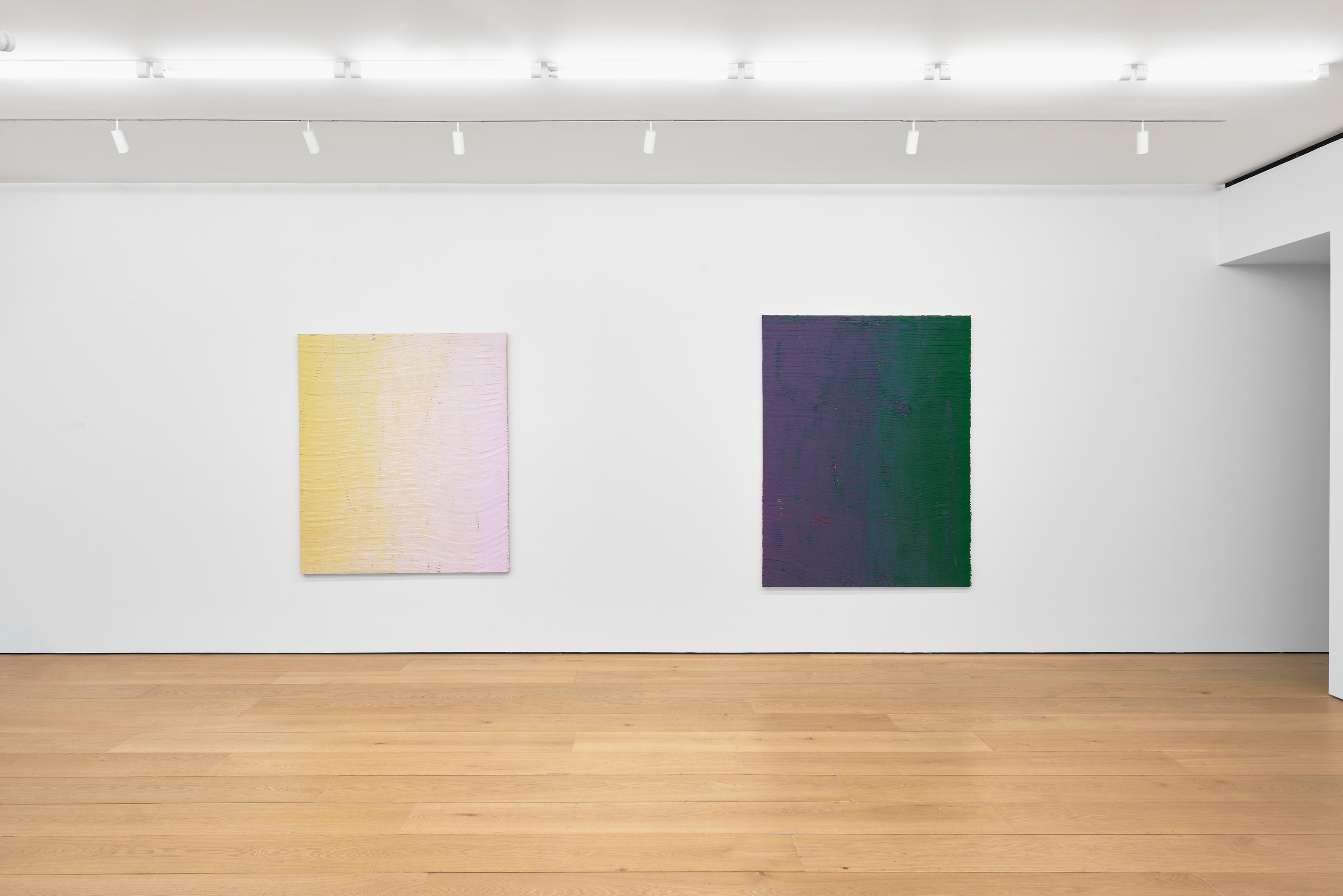 Installation view of Loriel Beltrán at Lehmann Maupin New York