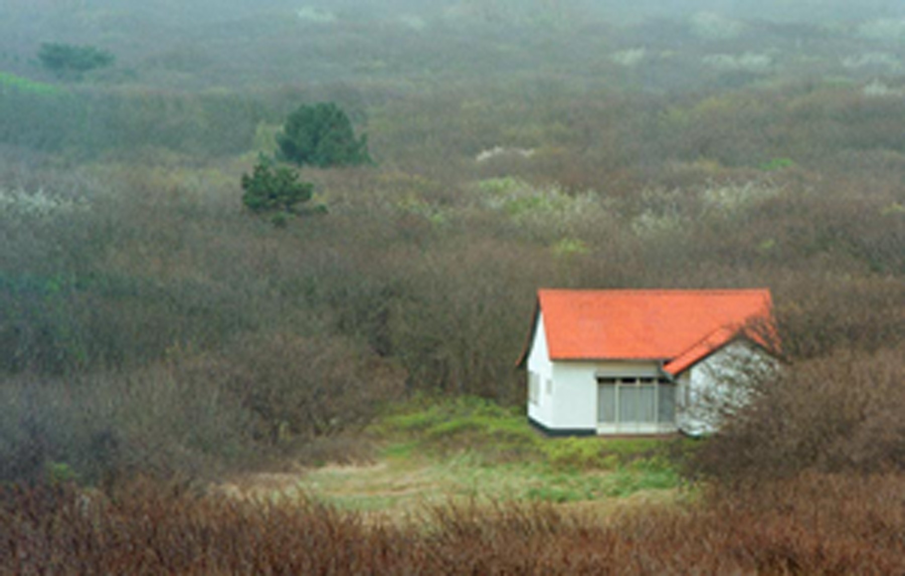 Photograph by Jörg Sasse