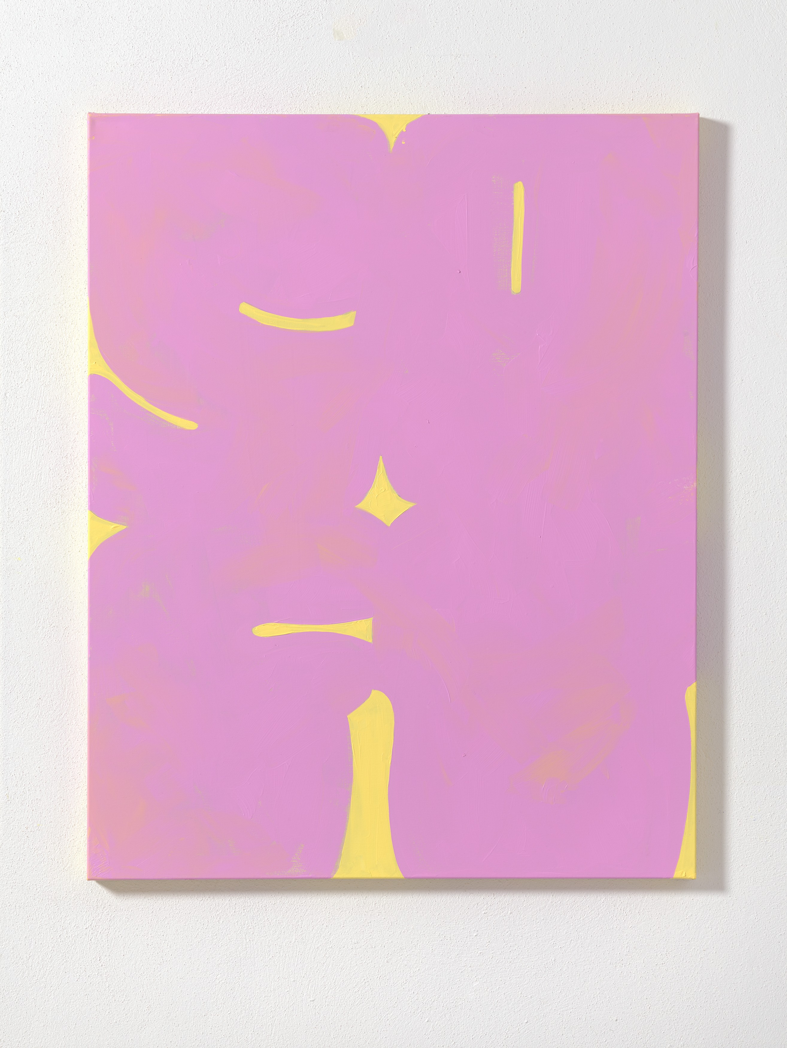 Work on canvas by Erwin Wurm