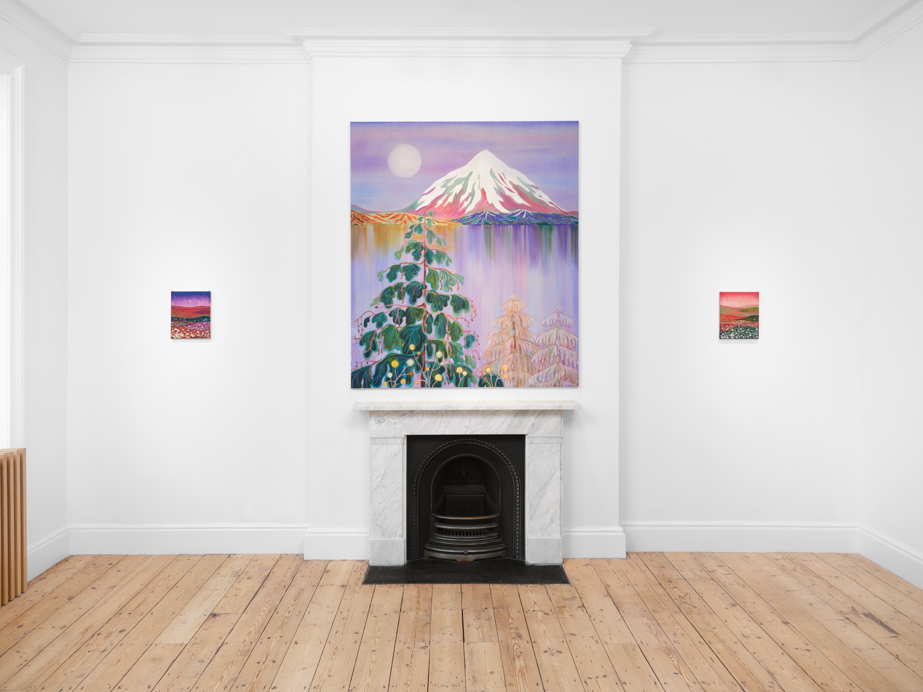 Installation view of Freya Douglas-Morris at Lehmann Maupin London
