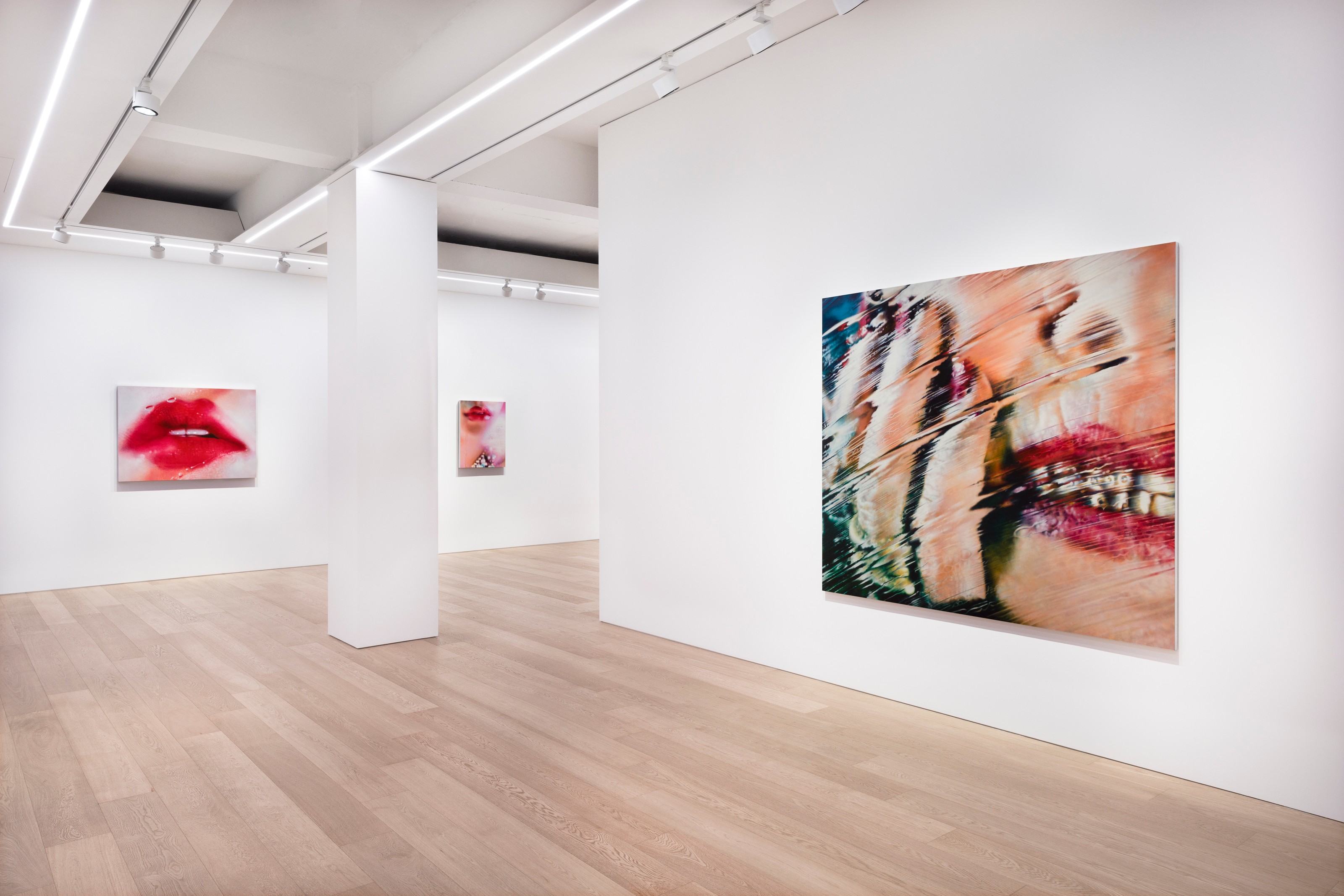 Installation view of Marilyn Minter at Lehmann Maupin Seoul