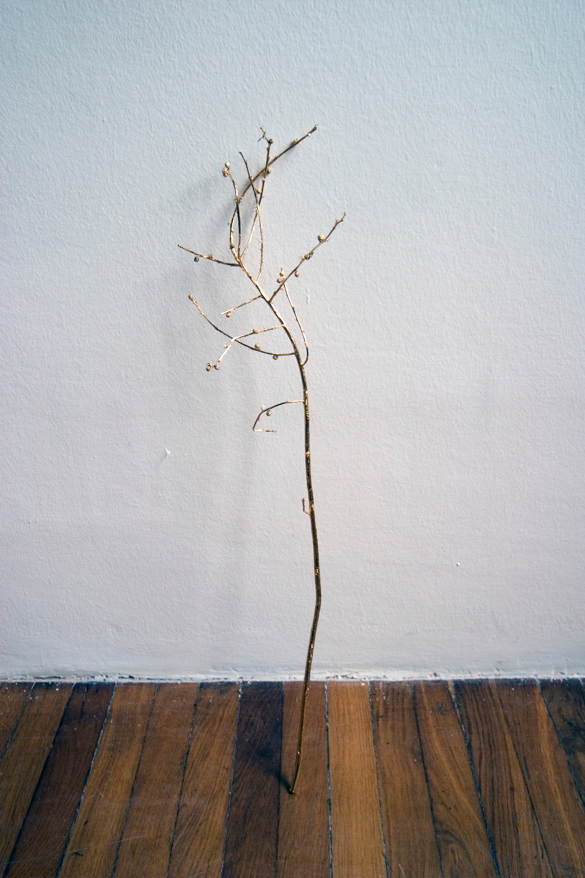 Installation view of The Look of Things at Palazzo delle Papesse