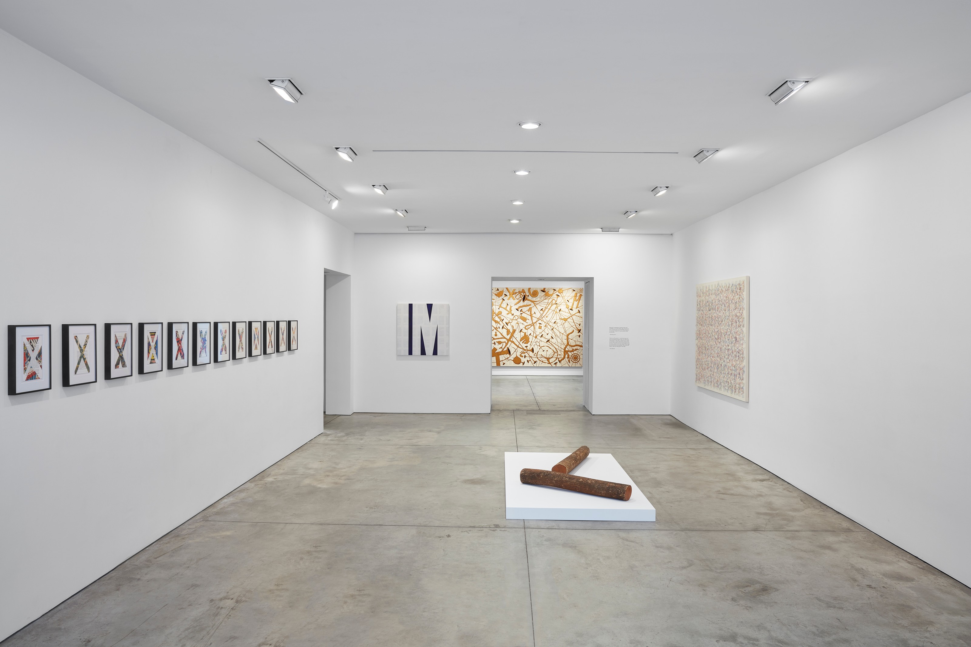 Installation view of Workshop at Lehmann Maupin New York