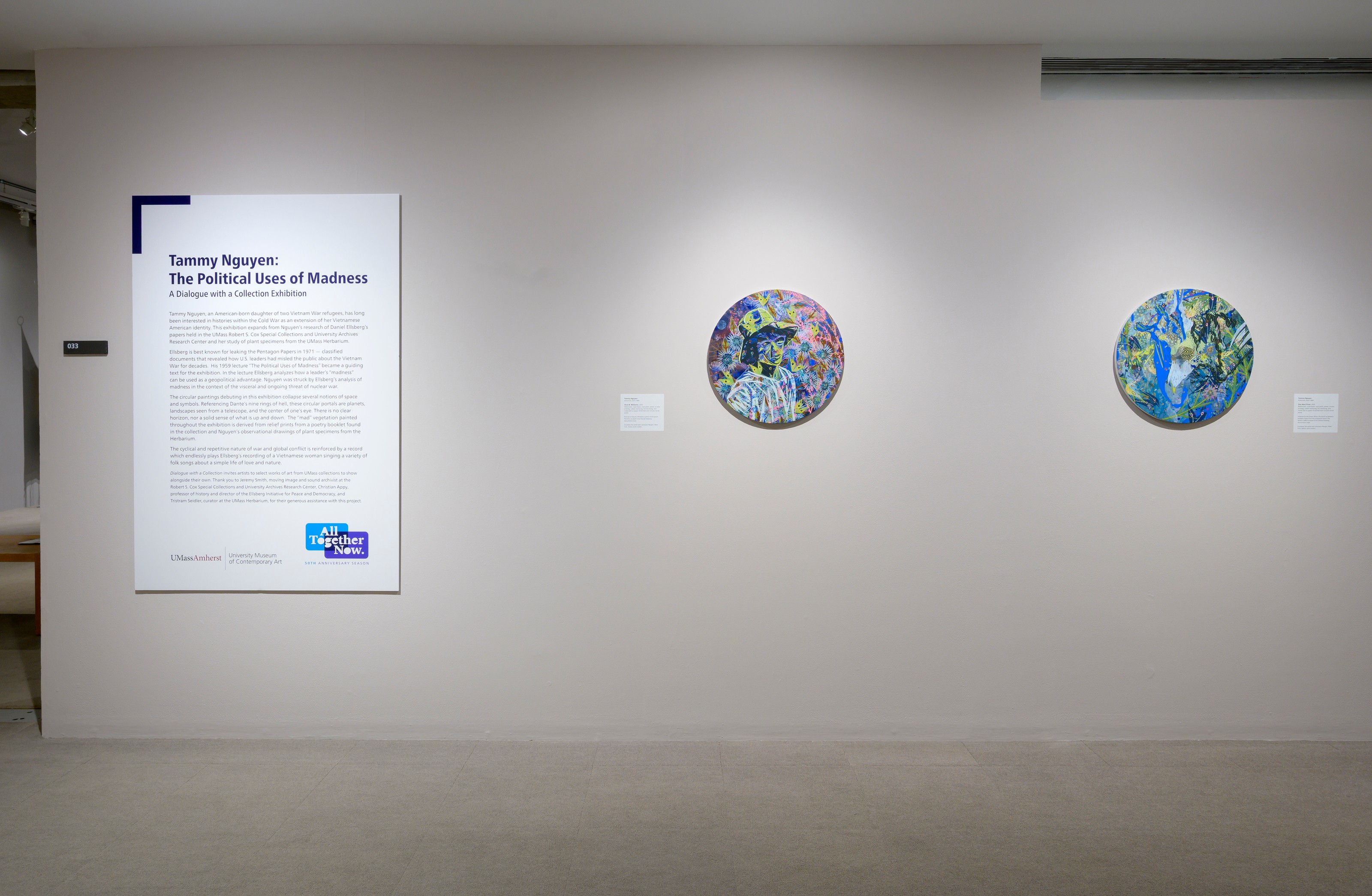 Installation view of The Political Uses of Madness at UMass Amherst