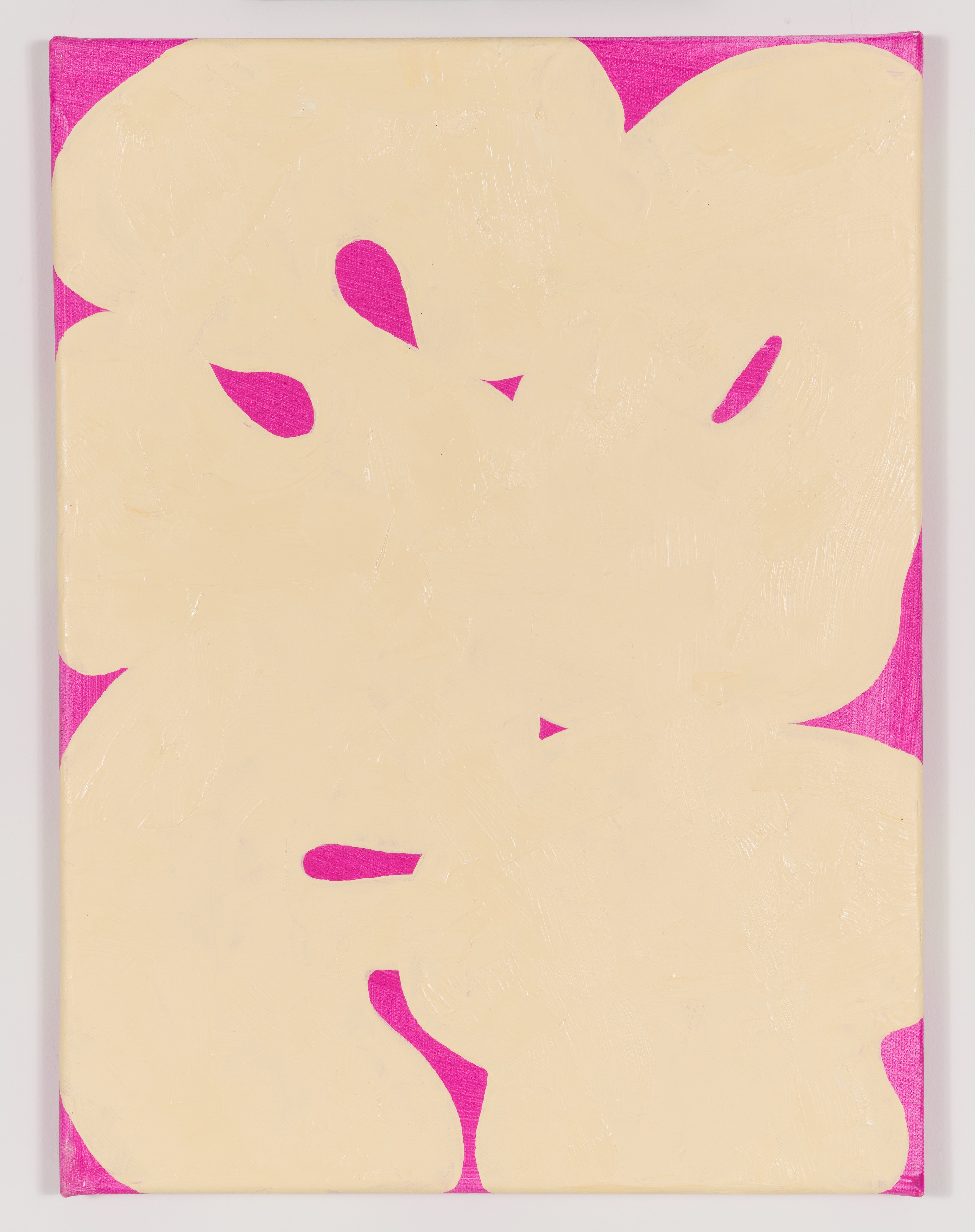 Work on canvas by Erwin Wurm