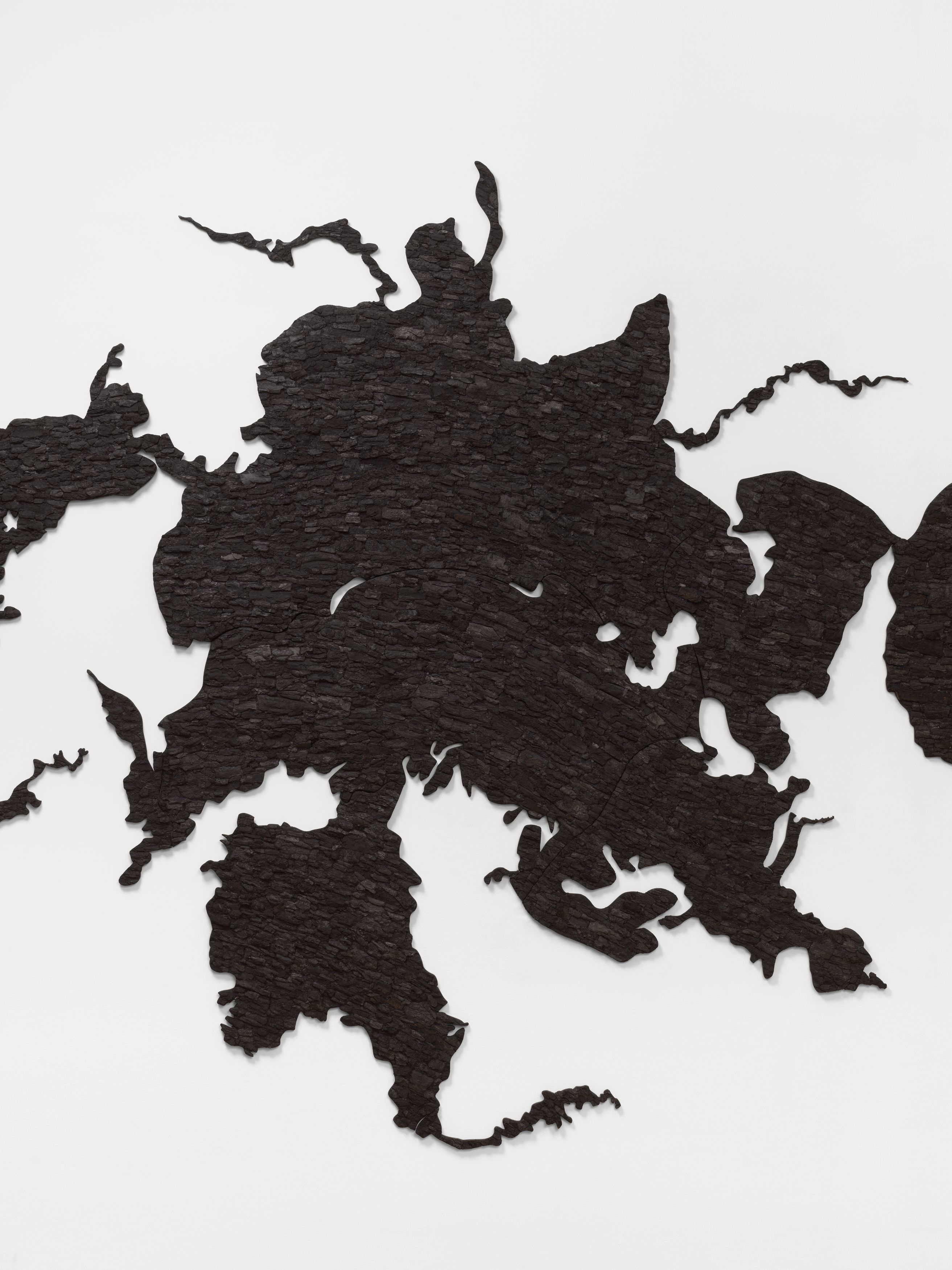 Detail of wall sculpture by Teresita Fernández