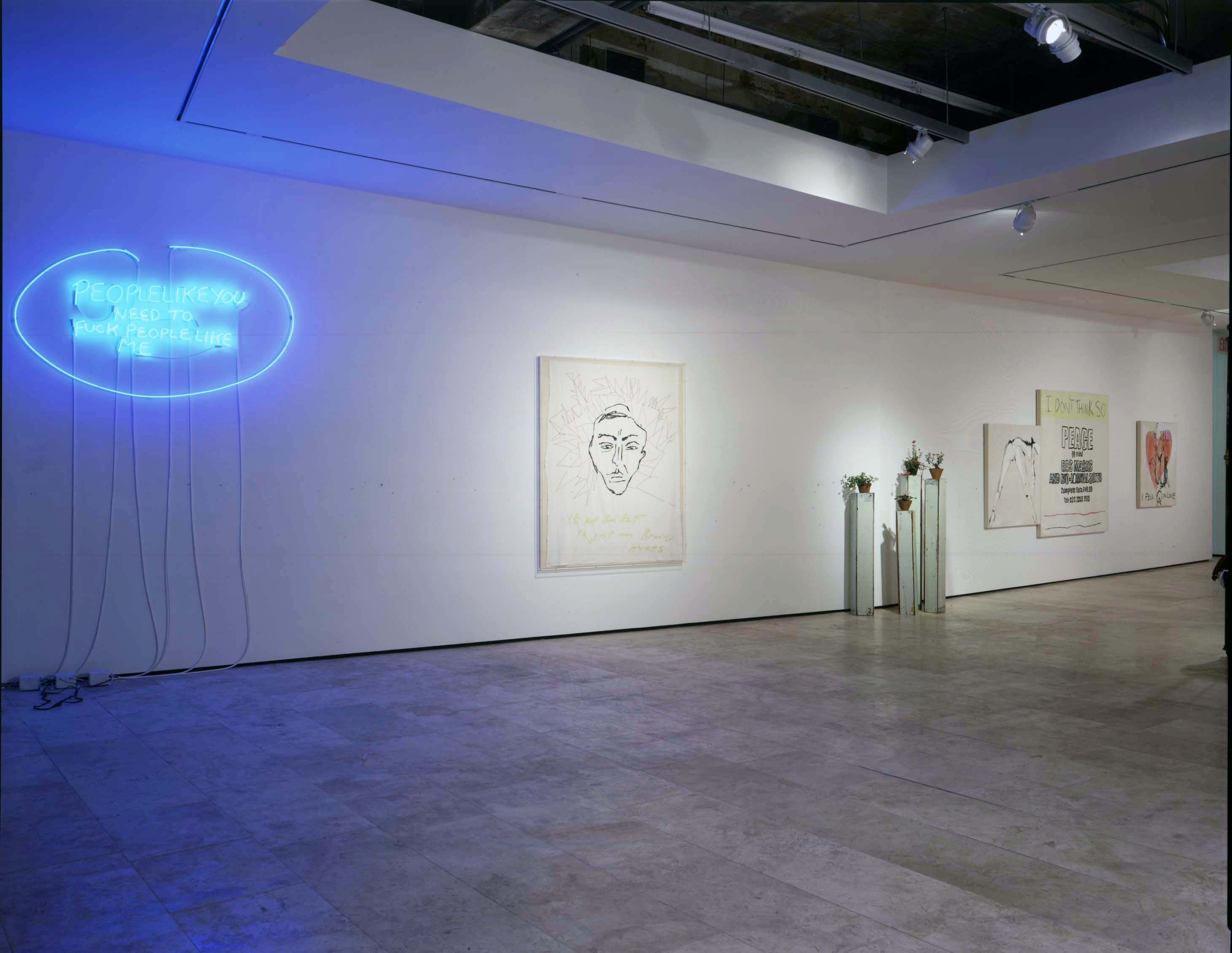 Installation view of I Think It's in My Head at Lehmann Maupin New York