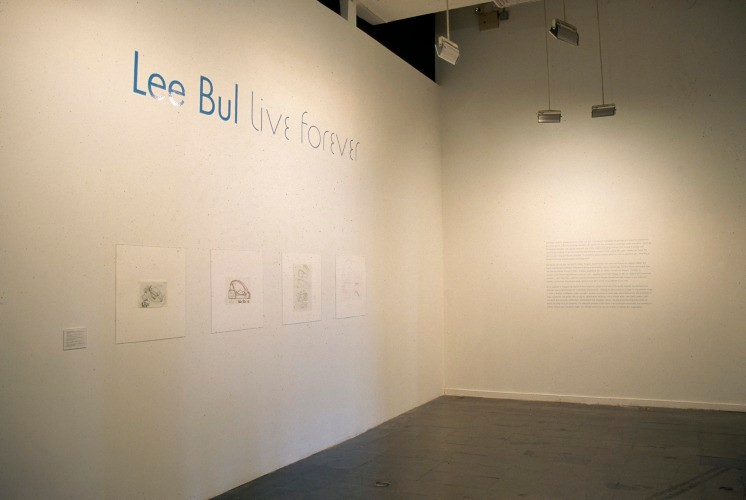 Installation view of Live Forever at New Museum of Contemporary Art