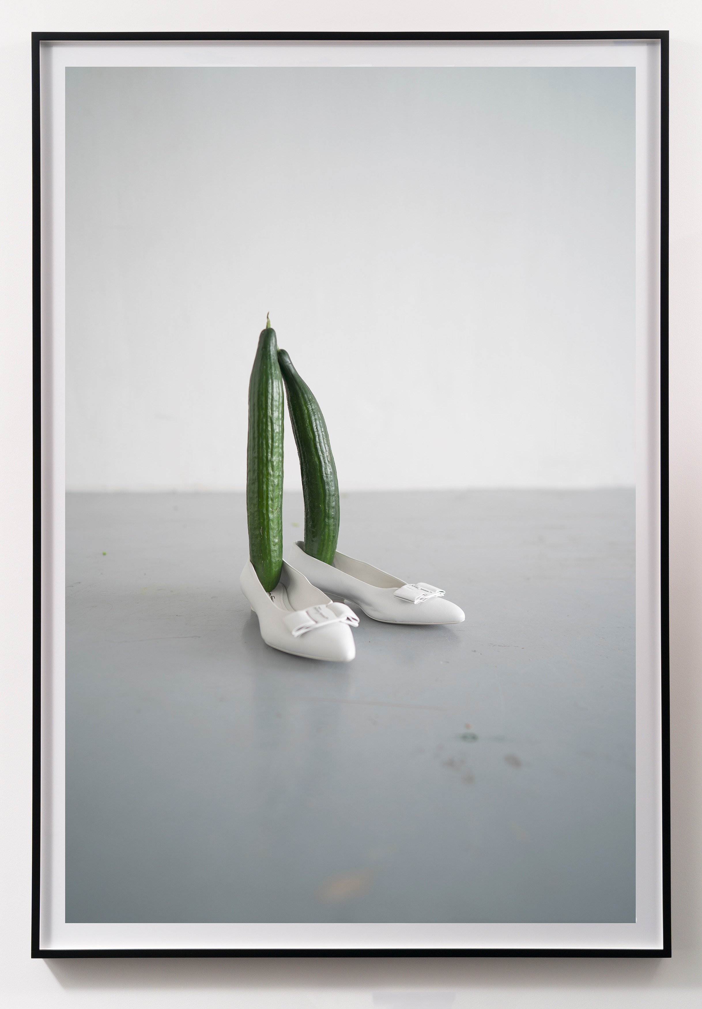 Photograph by Erwin Wurm