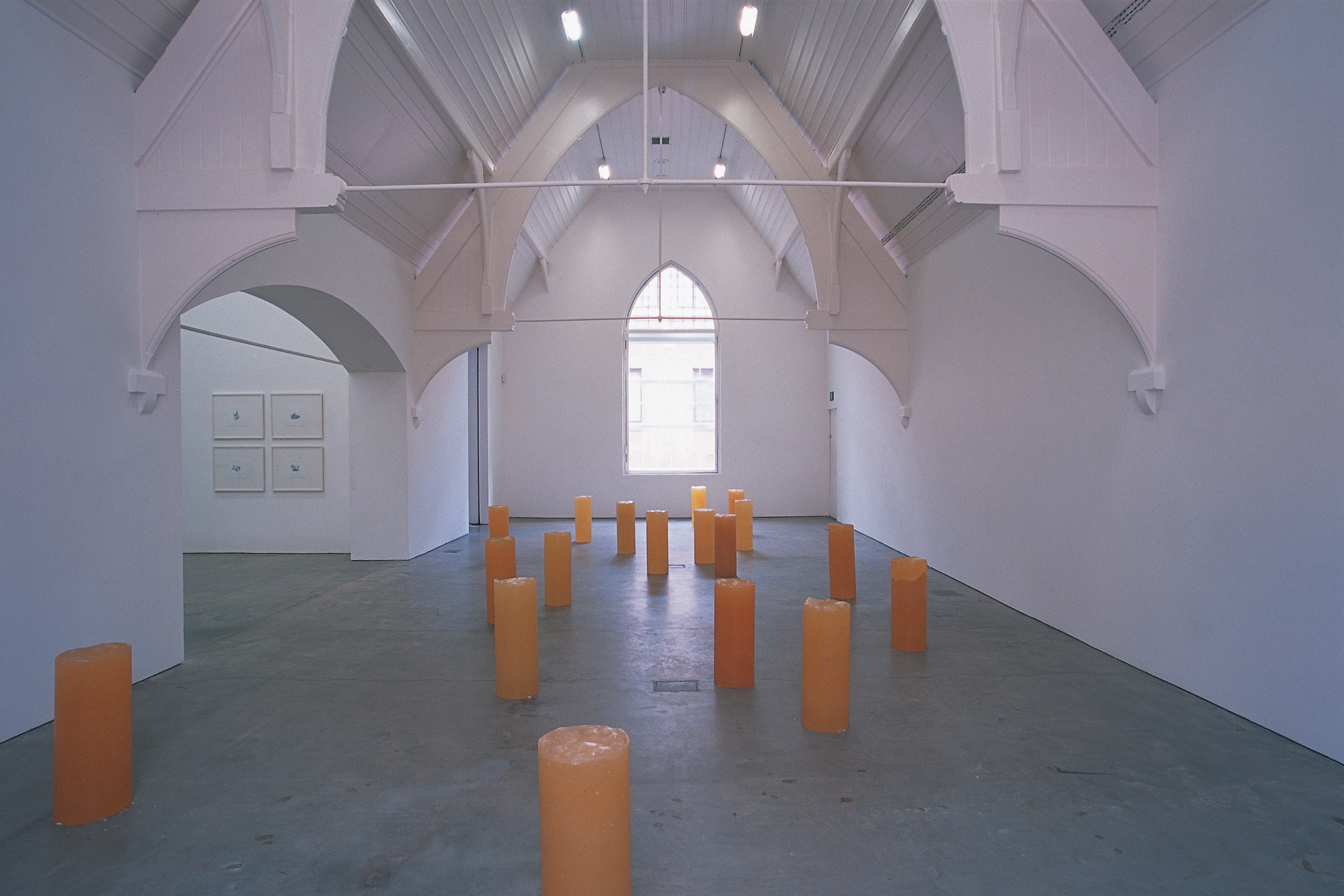 Installation view of Anya Gallaccio at Ikon Gallery