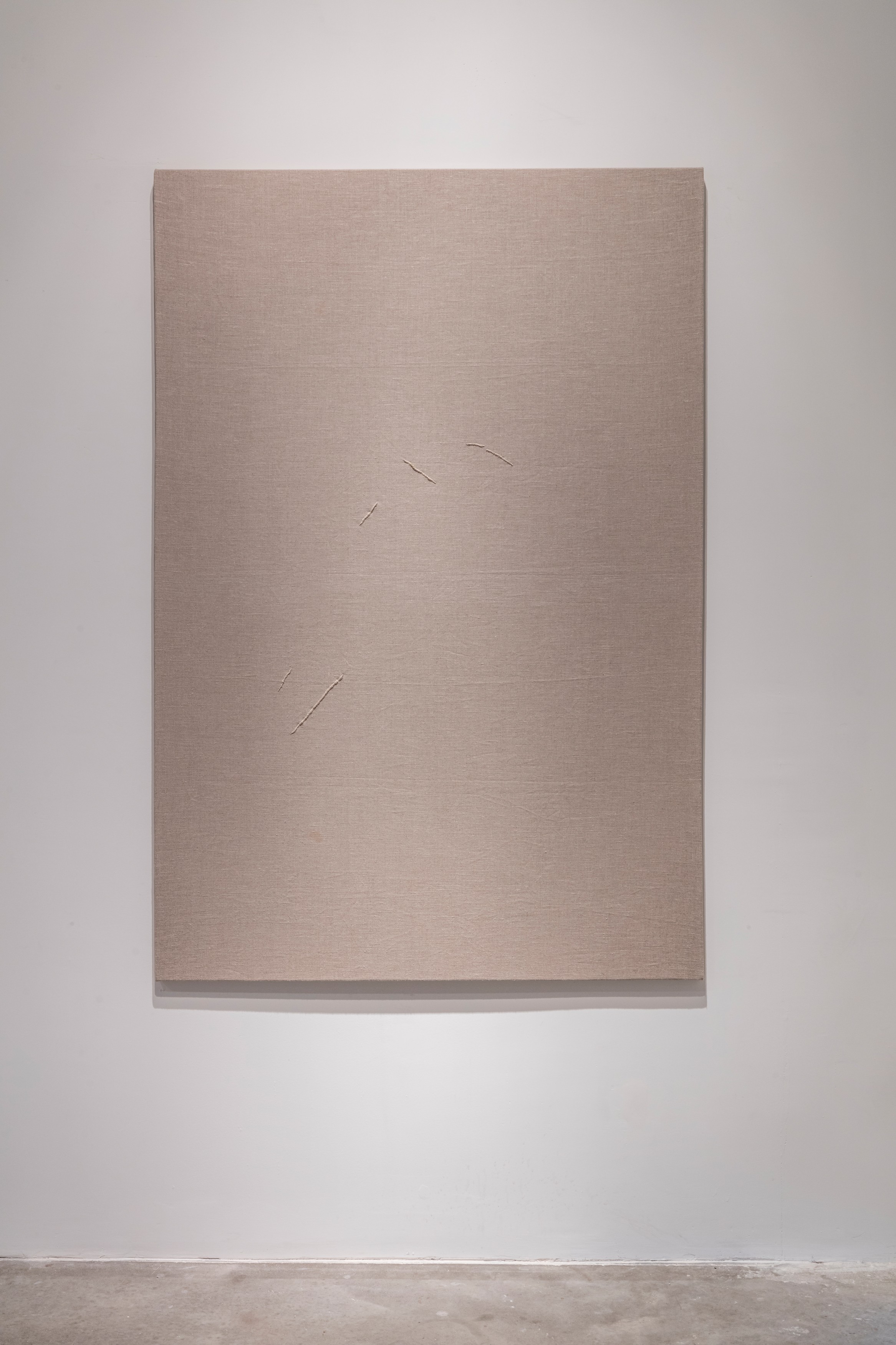 Wall work by Kader Attia