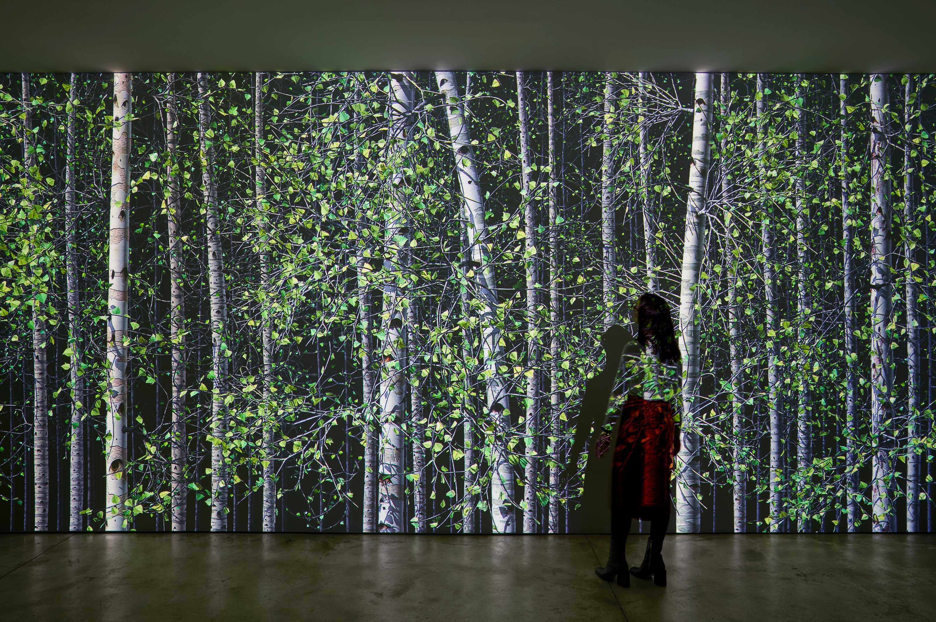 Video installation by Jennifer Steinkamp