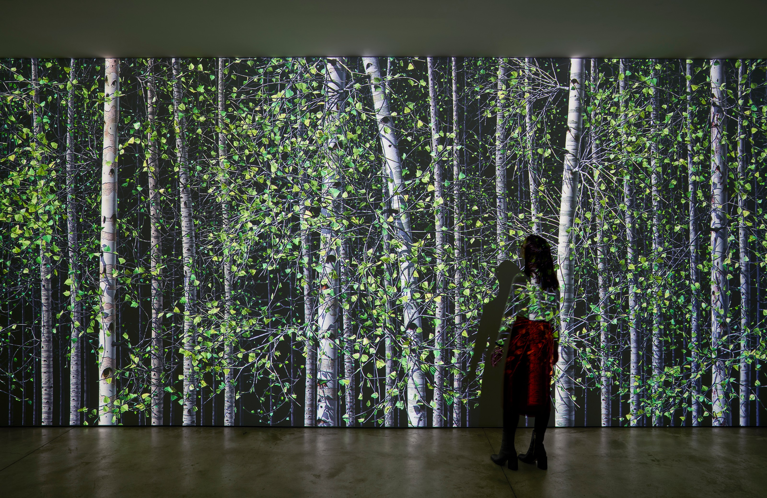 Installation view of Jennifer Steinkamp at Lehmann Maupin New York