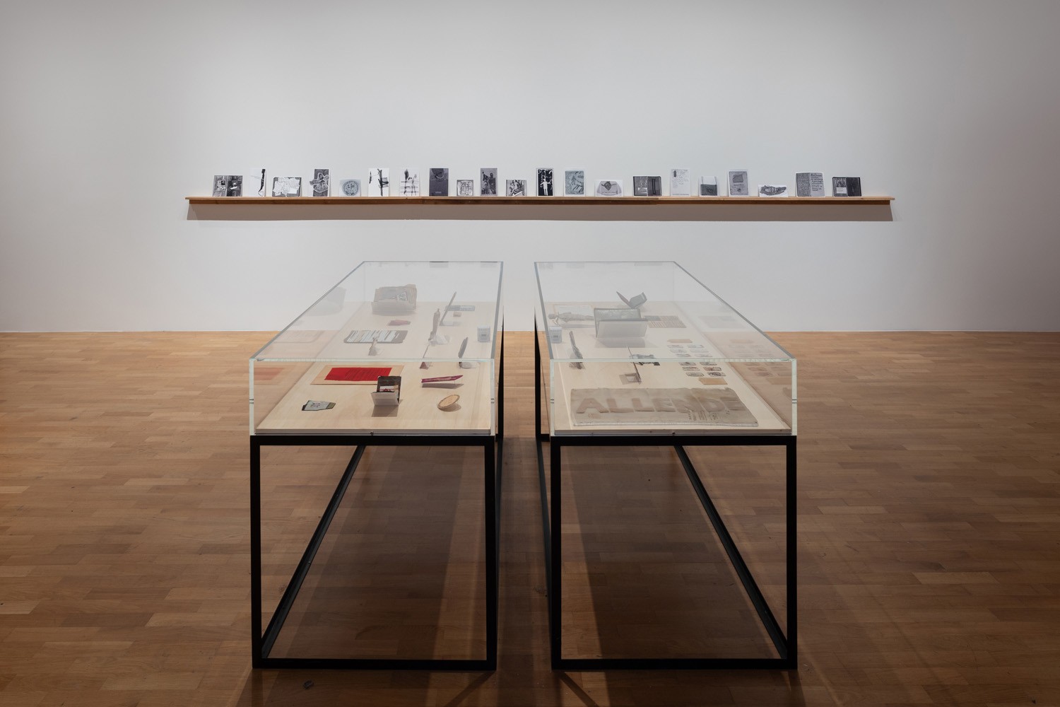 Cecilia Vicuña exhibition