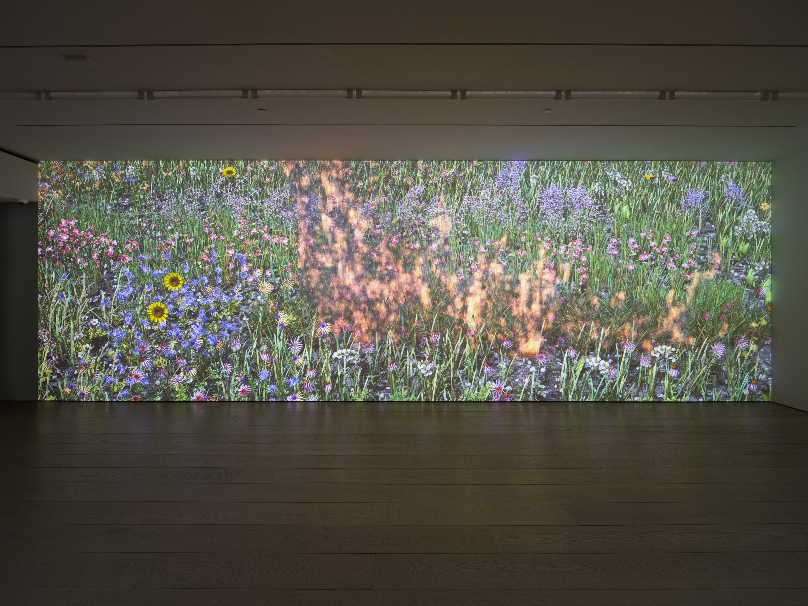Installation view of Jennifer Steinkamp at Lehmann Maupin New York