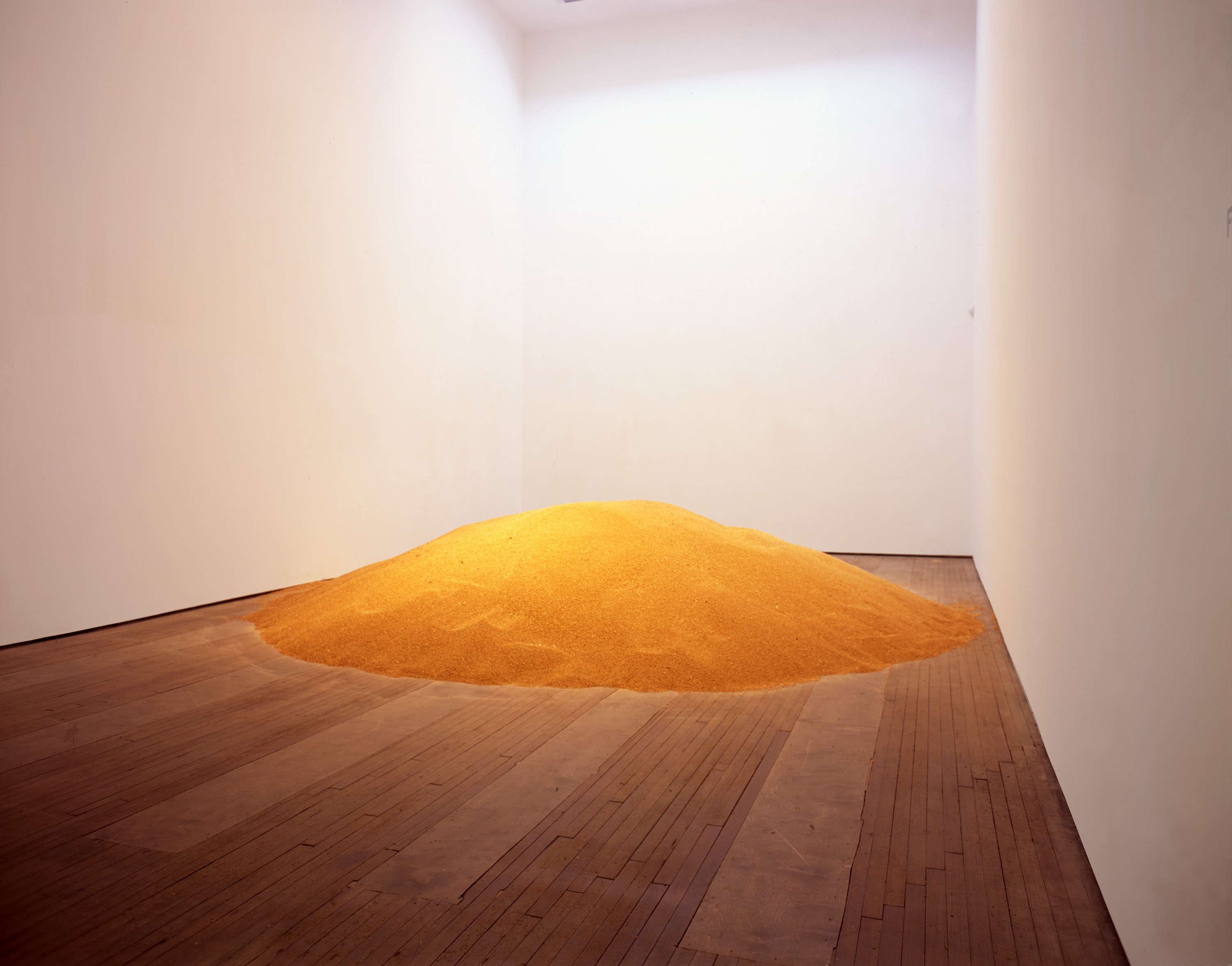 Installation view of Stefano Arienti at Lehmann Maupin New York