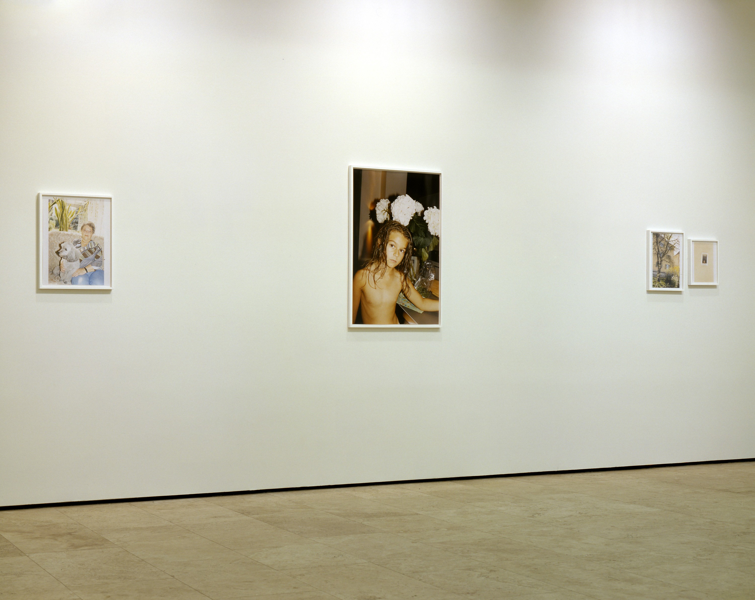 Installation of Nürnberg at Lehmann Maupin New York