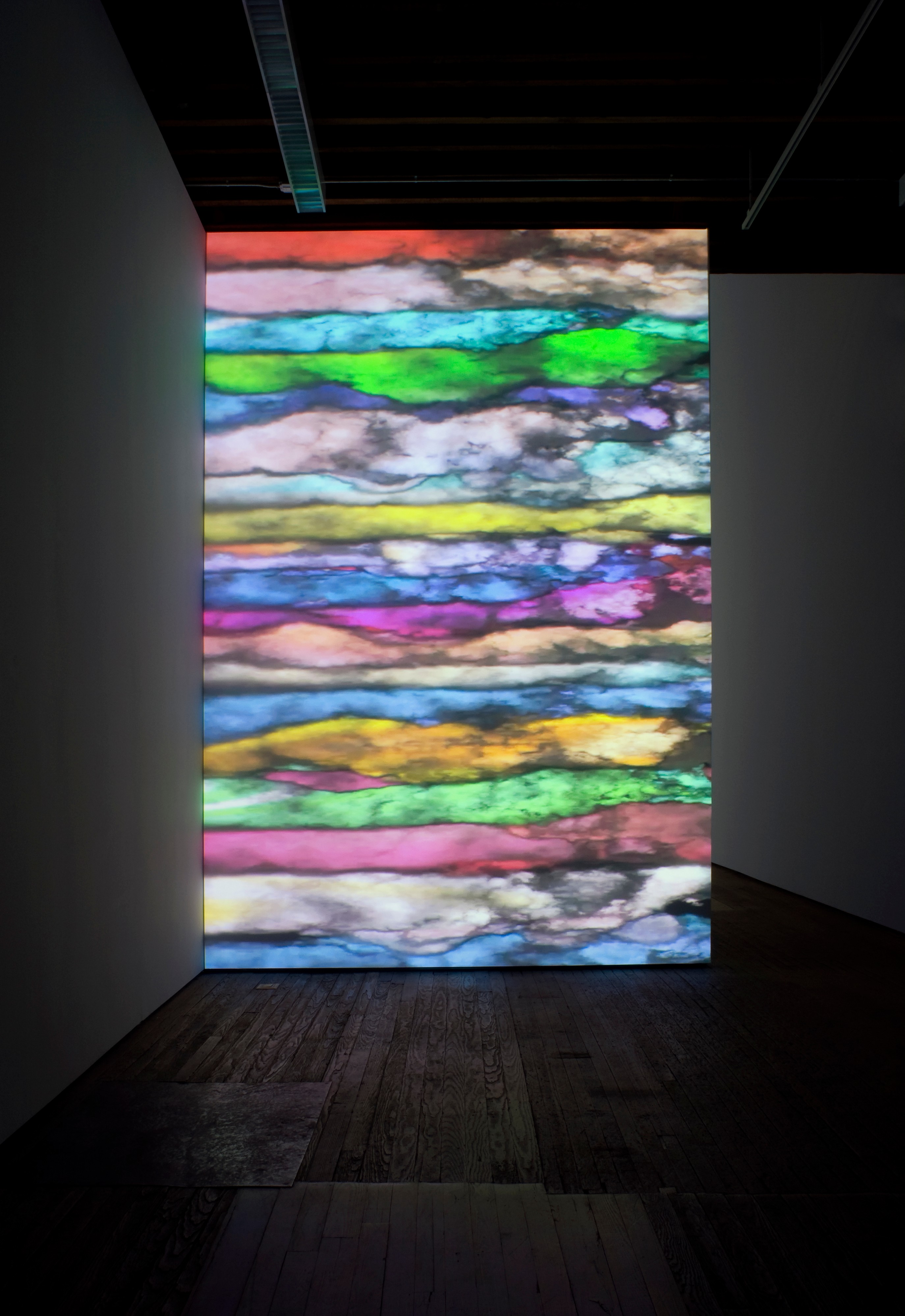 Installation view of Daisy Bell and Left Clavicle at Lehmann Maupin New York