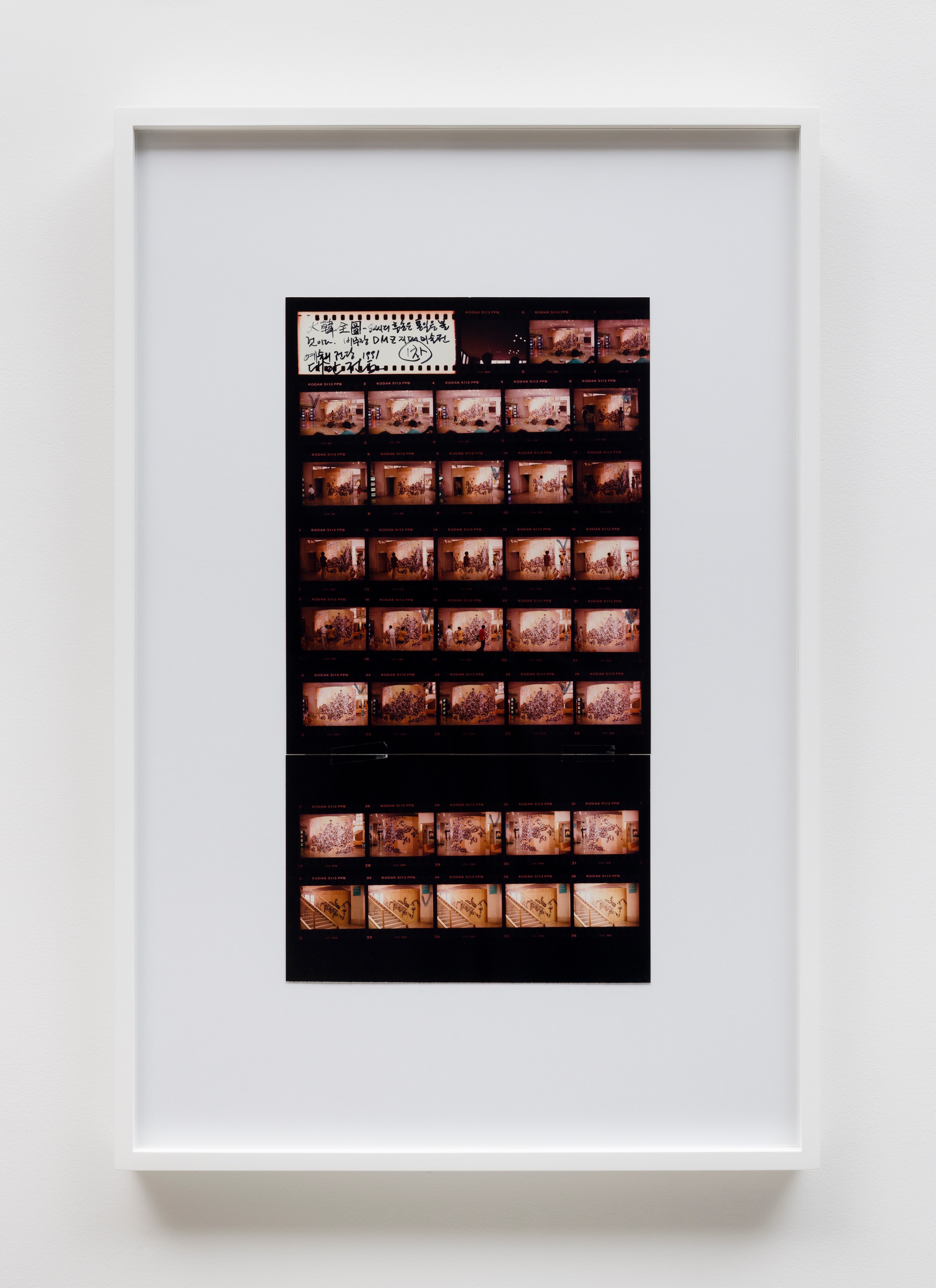 Contact print by Sung Neung Kyung