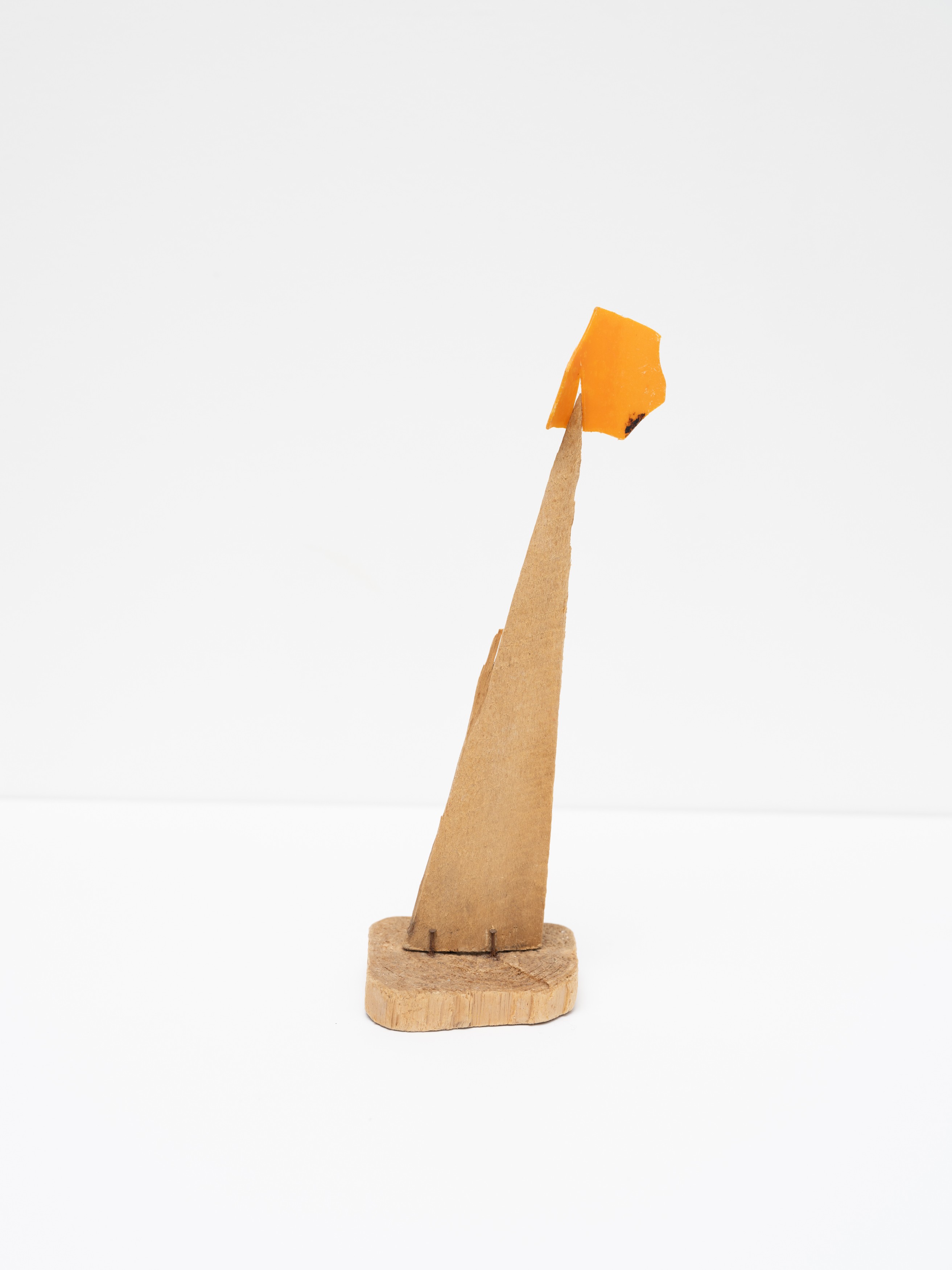 Precarios by Cecilia Vicuña