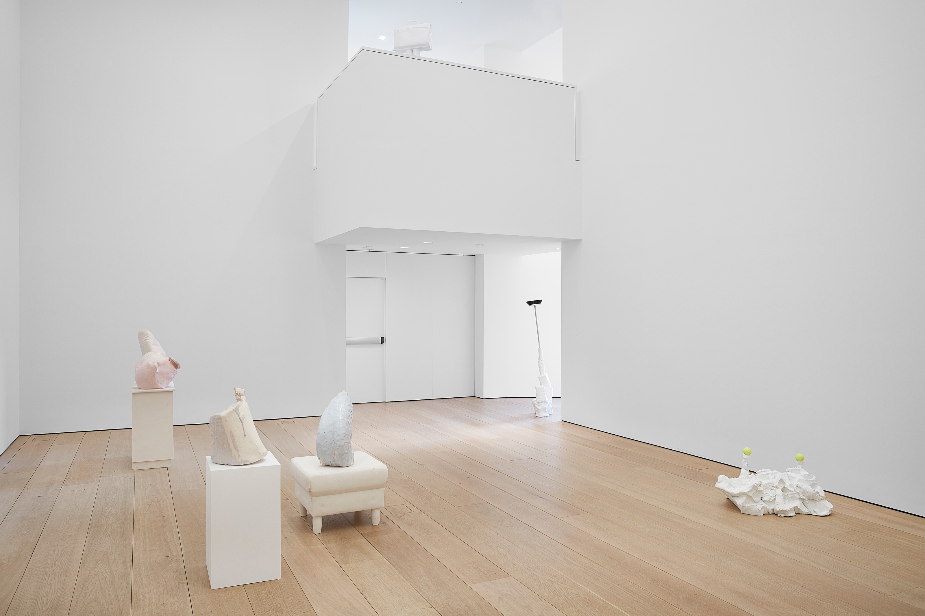 Installation view of Yes Biological at Lehmann Maupin New York