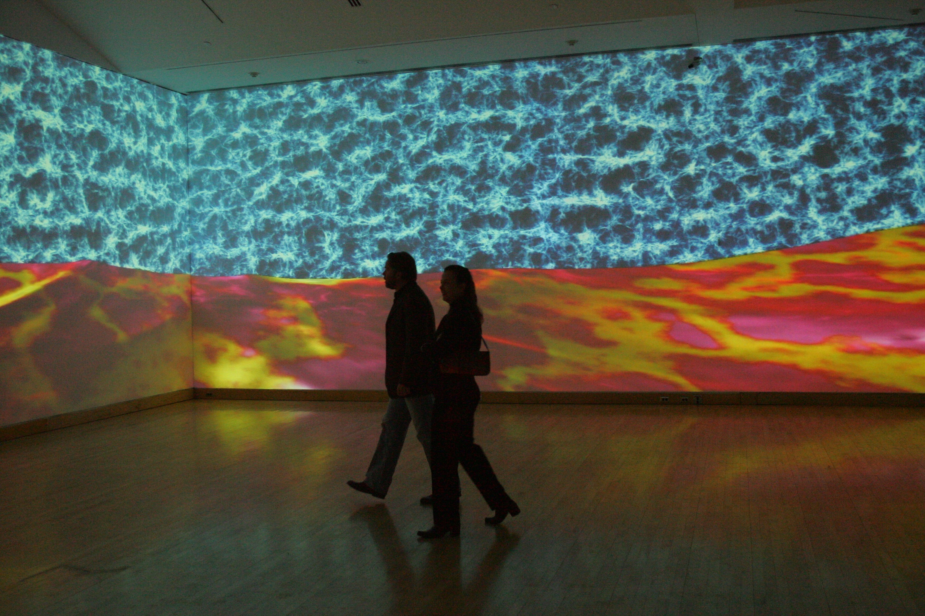 Installation view of Jennifer Steinkamp at Kemper Museum of Contemporary Art