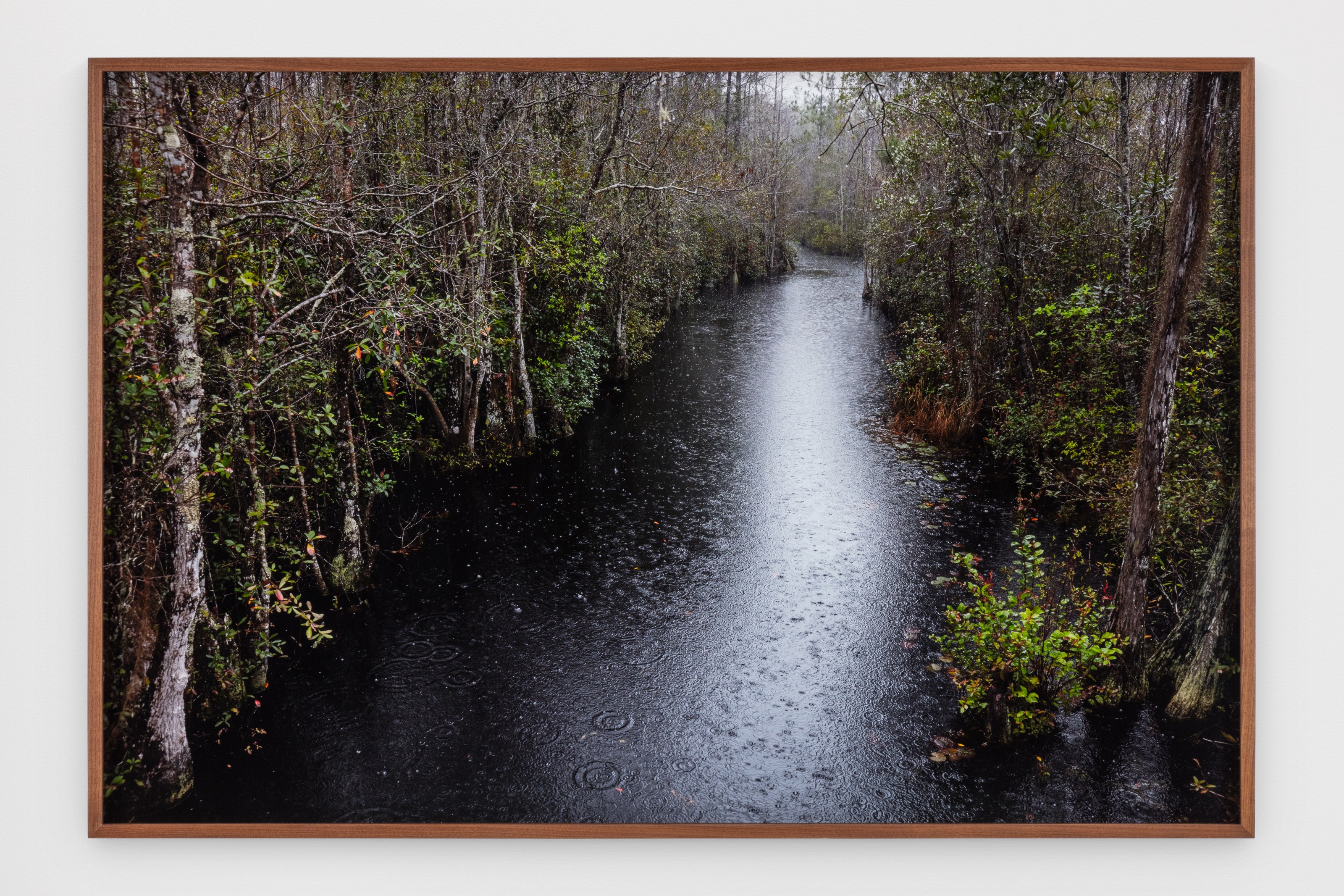 Photograph by Catherine Opie