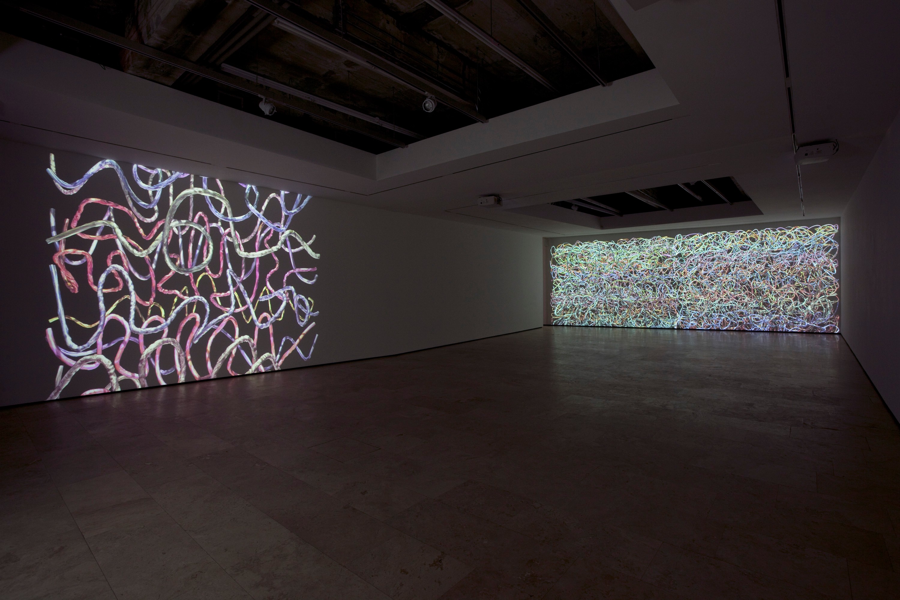 Installation view of Jennifer Steinkamp at Lehmann Maupin New York