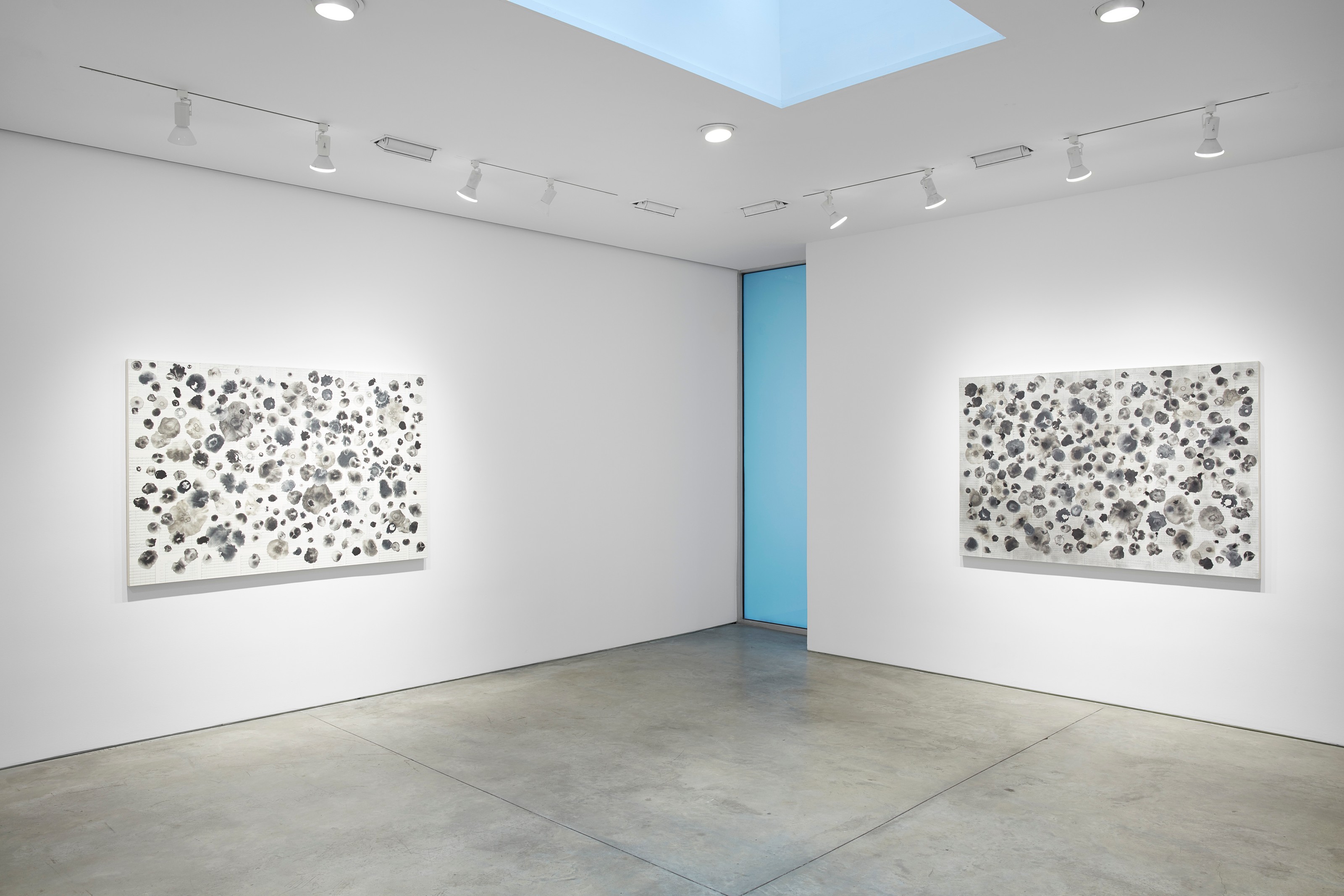 Installation view of Workshop at Lehmann Maupin New York
