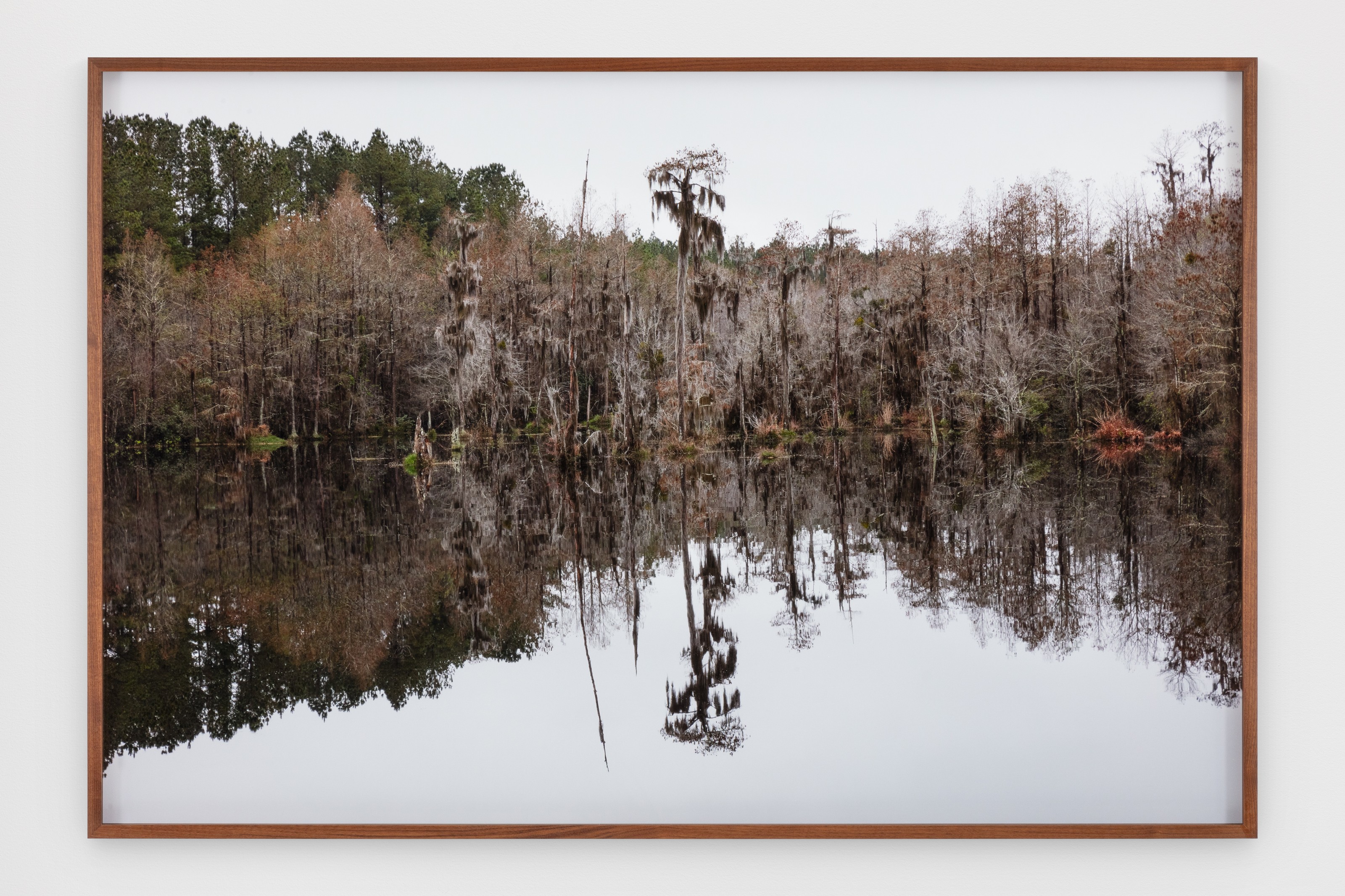 Photograph by Catherine Opie