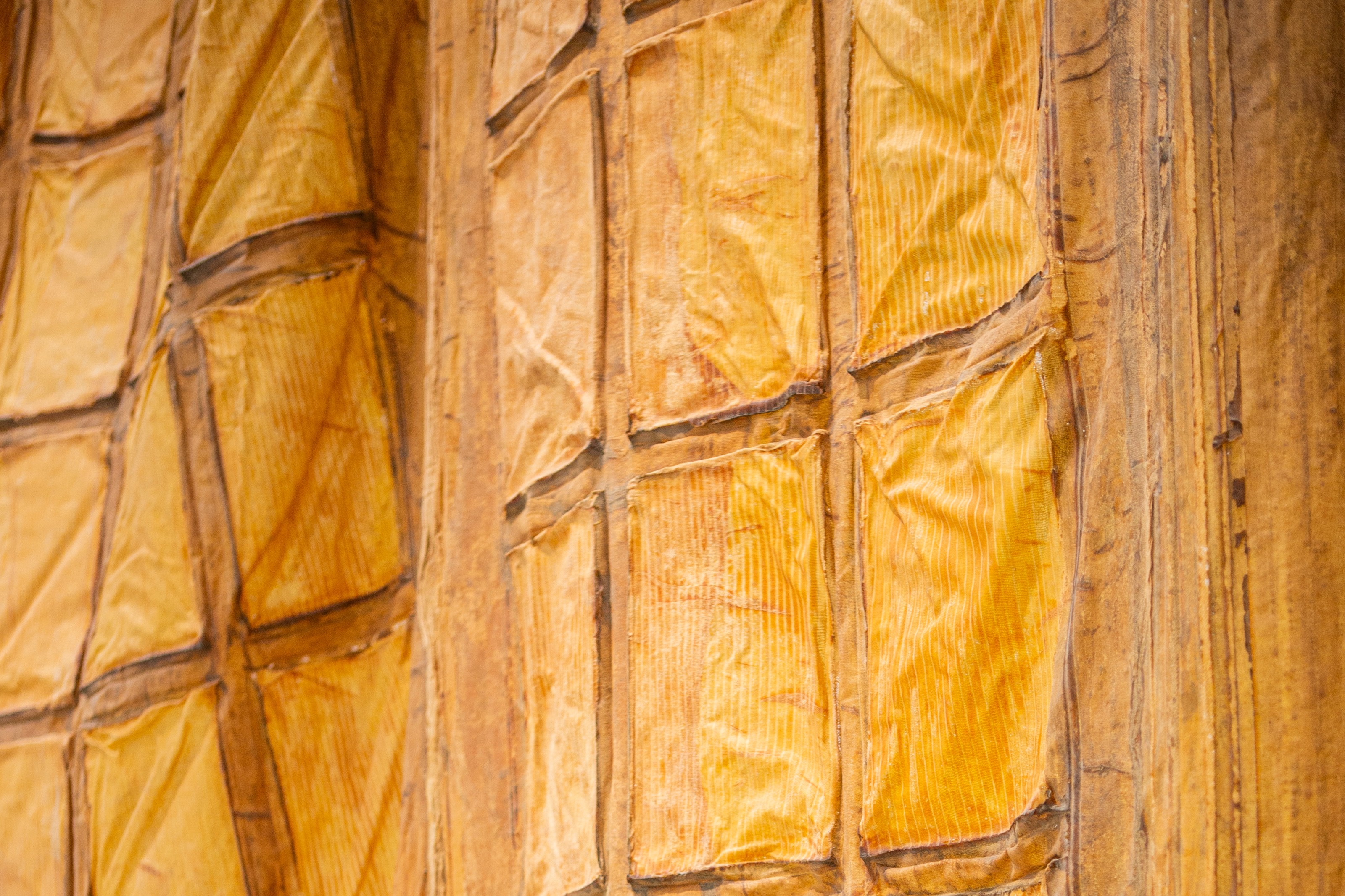 Detail of latex & rubber work by Heidi Bucher