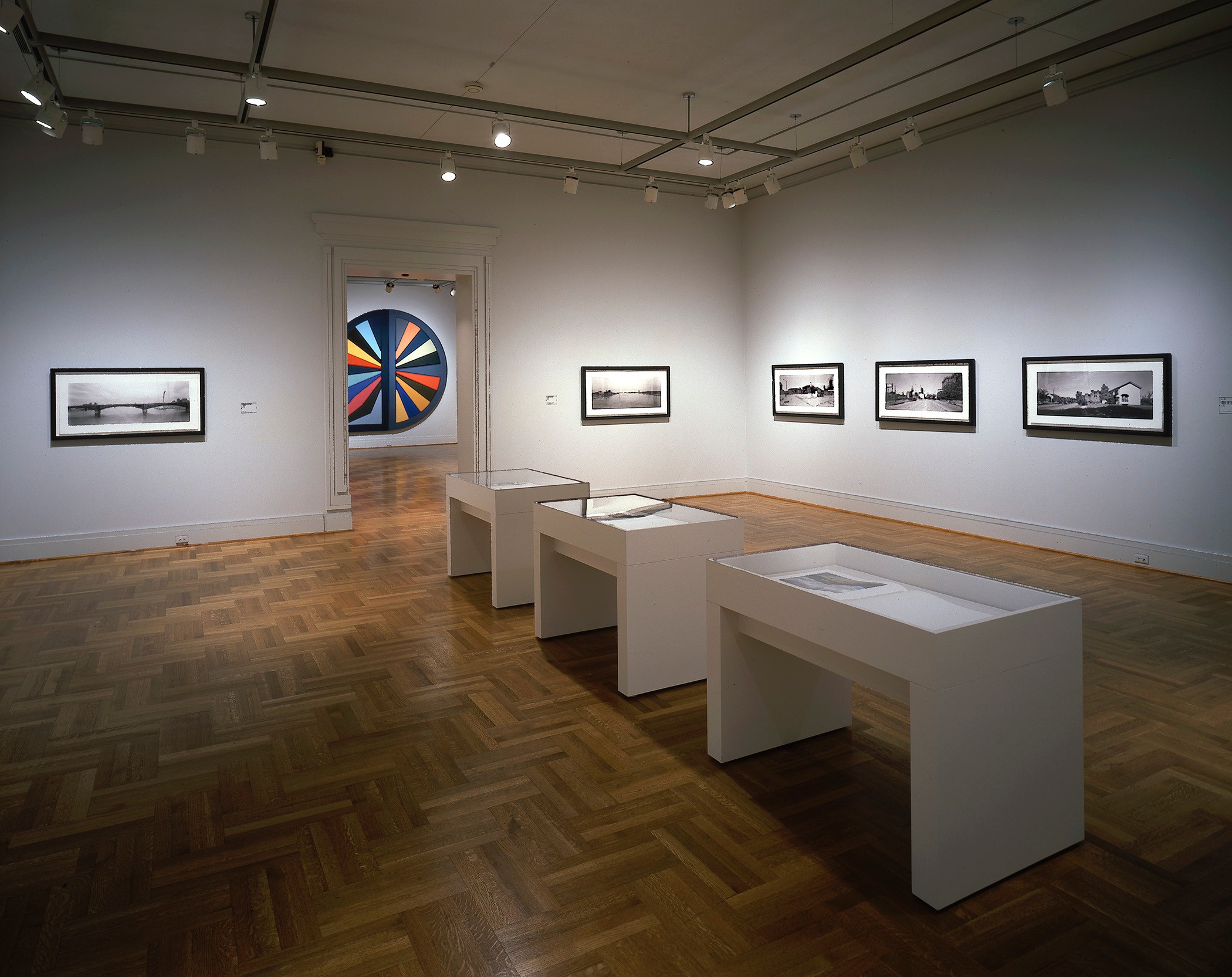 Installation view of in between here and there at Saint Louis Art Museum