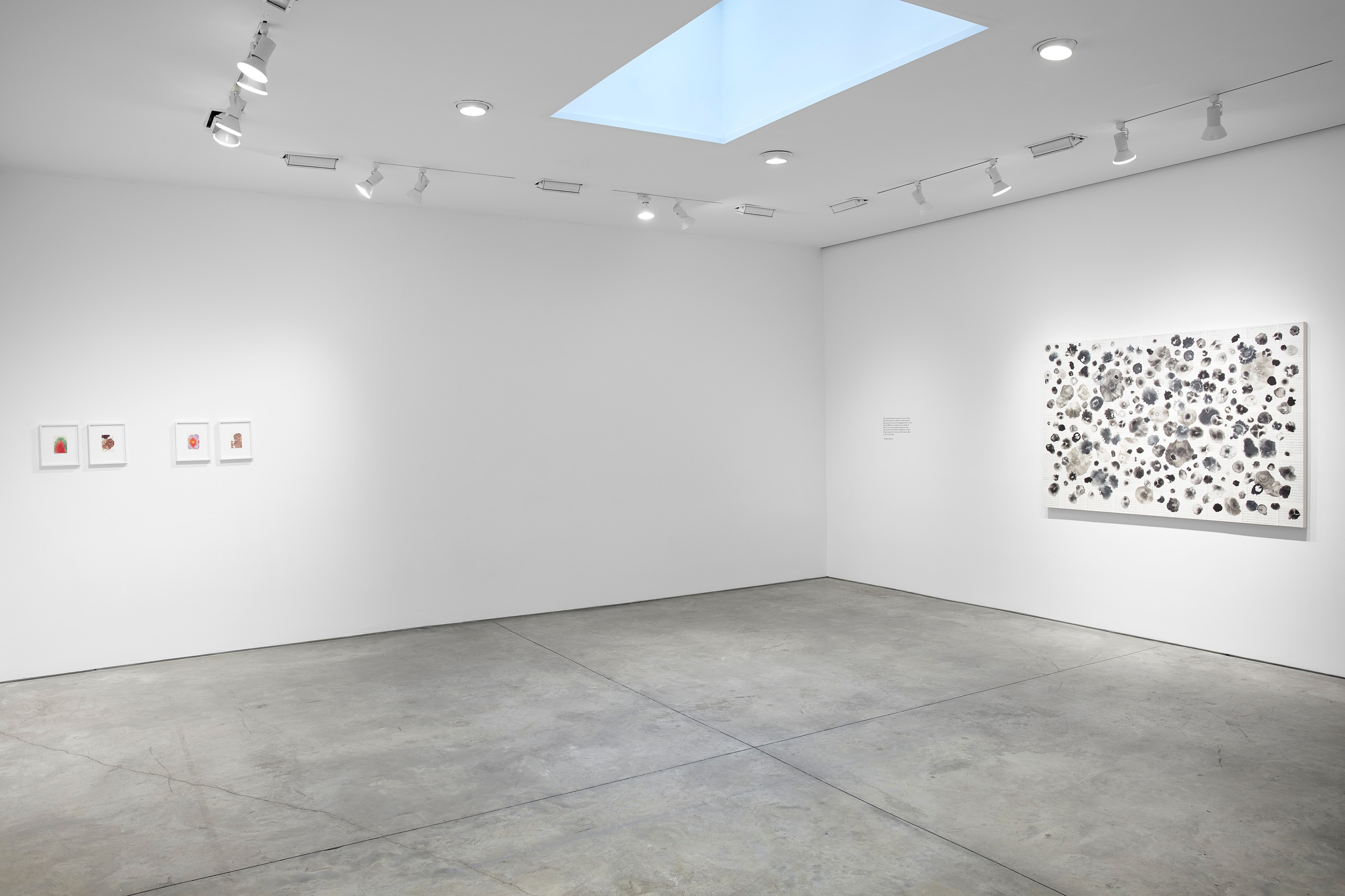 Installation view of Workshop at Lehmann Maupin New York