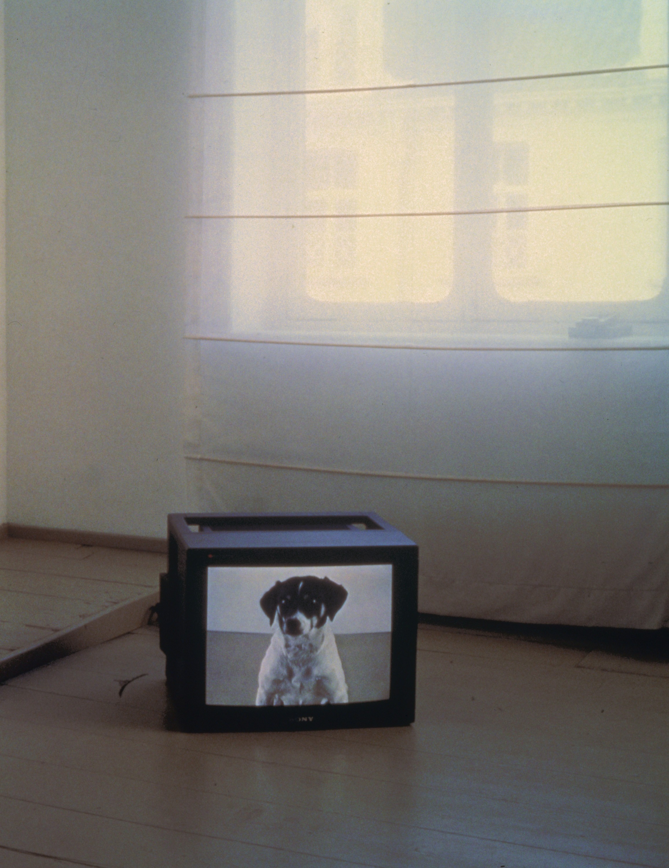 Video installation by Marie José Burki