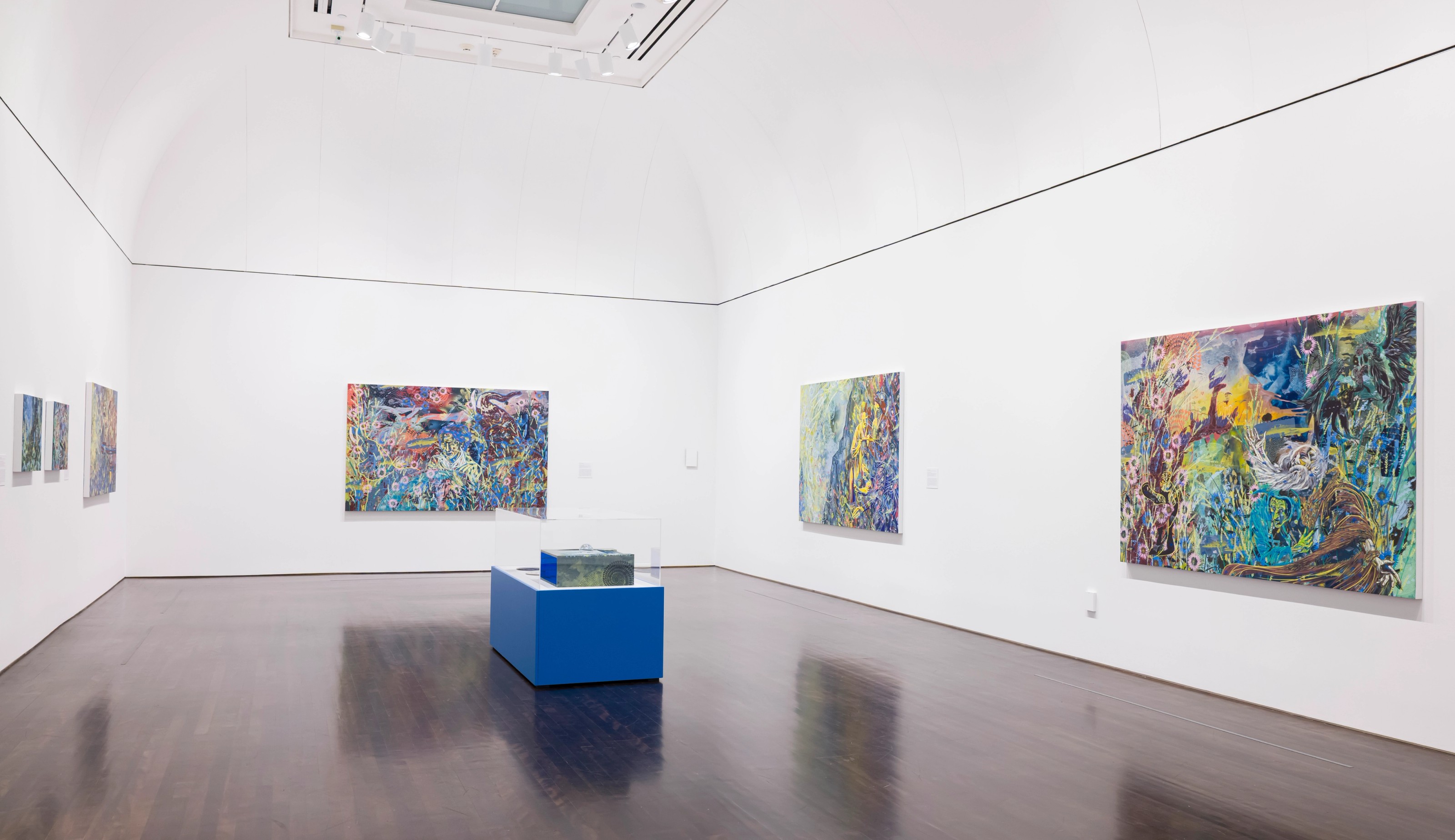 Installation view of Tammy Nguyen at the Blanton Museum