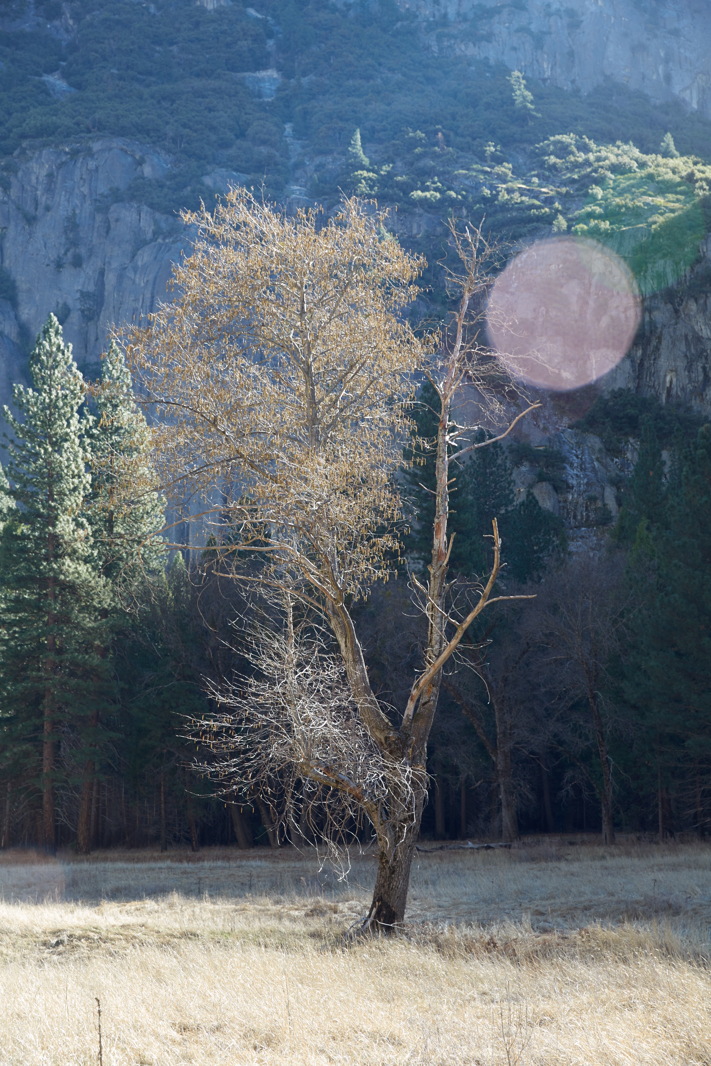 Photograph by Catherine Opie