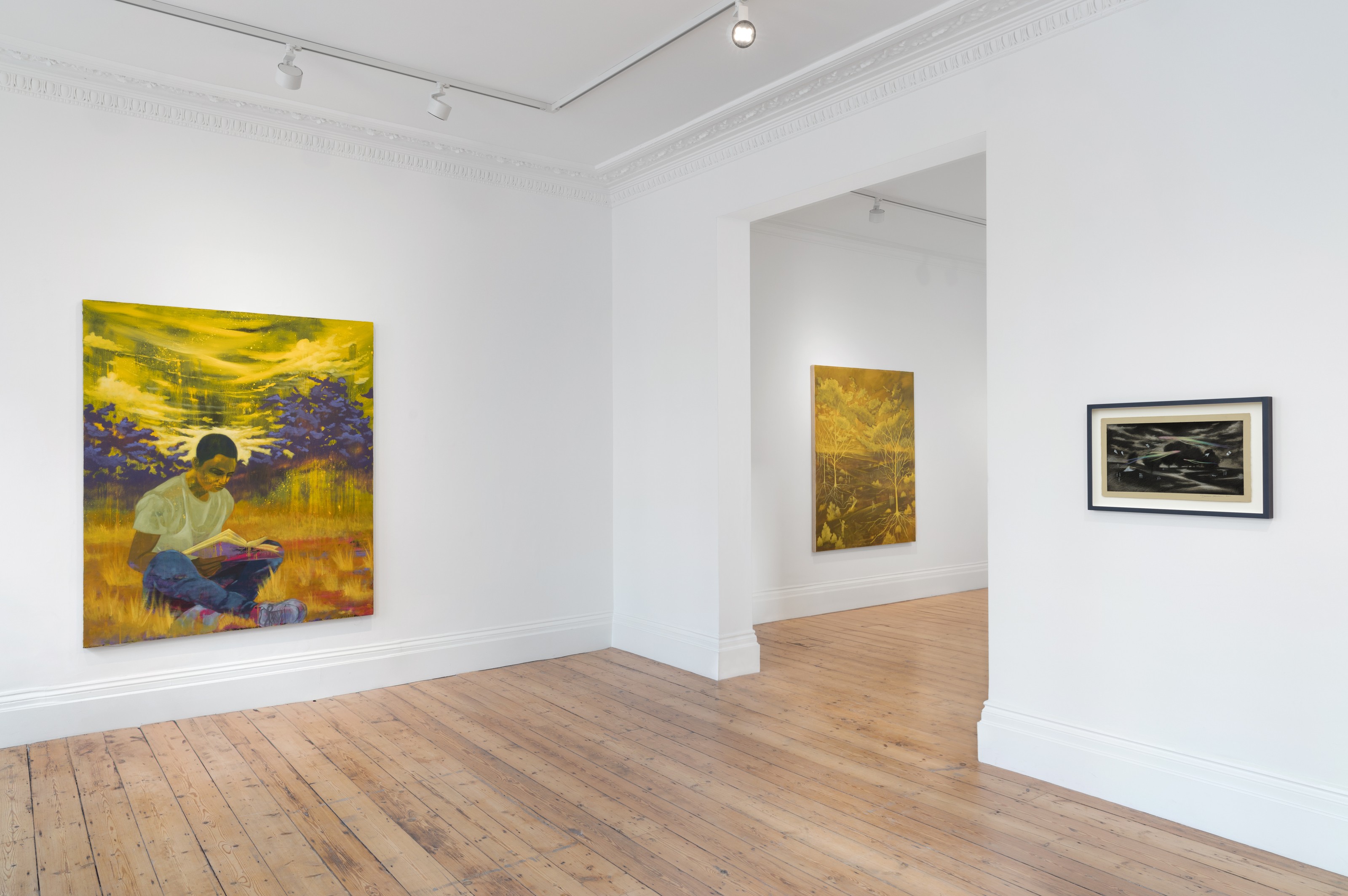 Installation view of Dominic Chambers at Lehmann Maupin London
