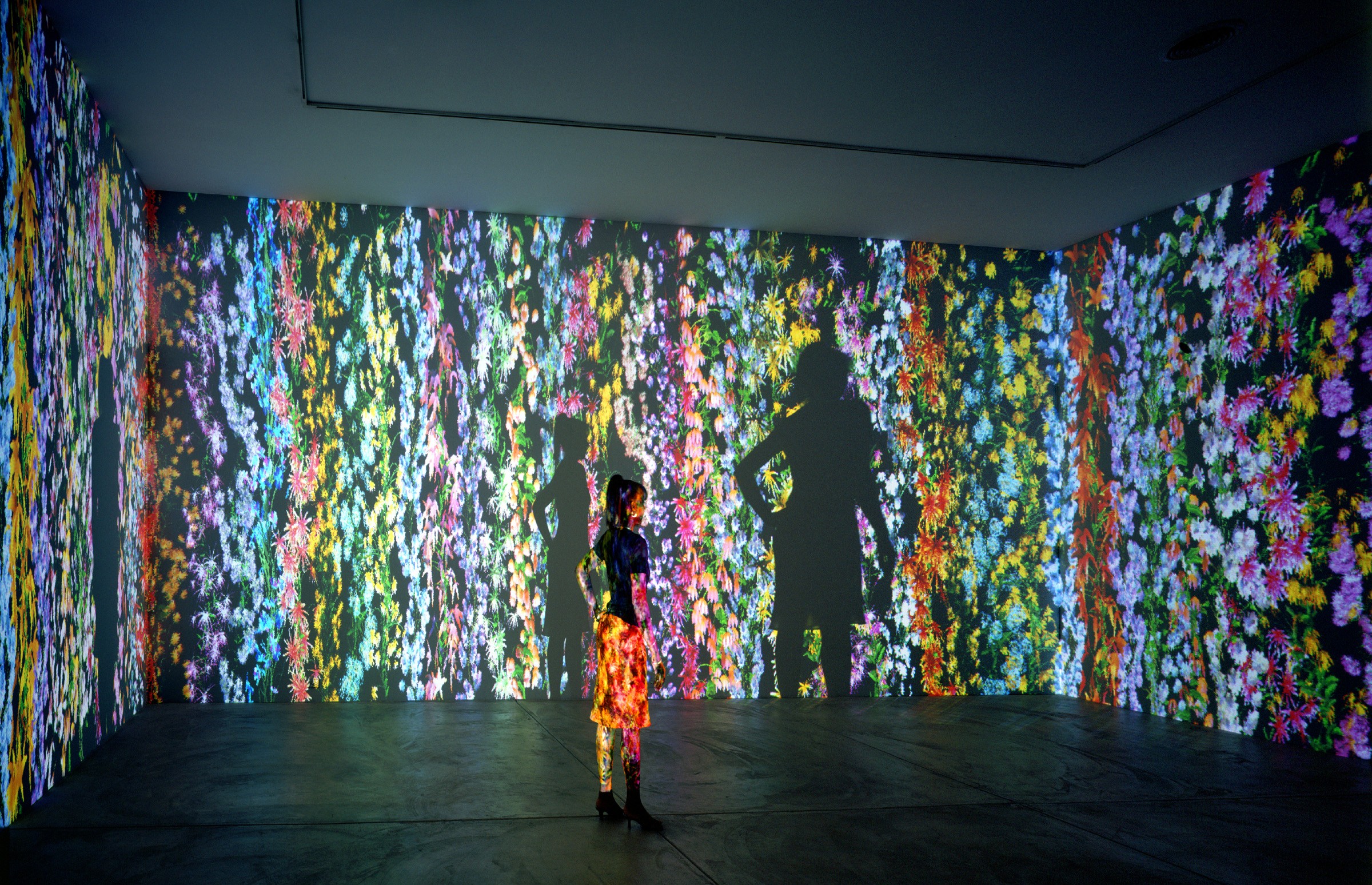 Video installation by Jennifer Steinkamp