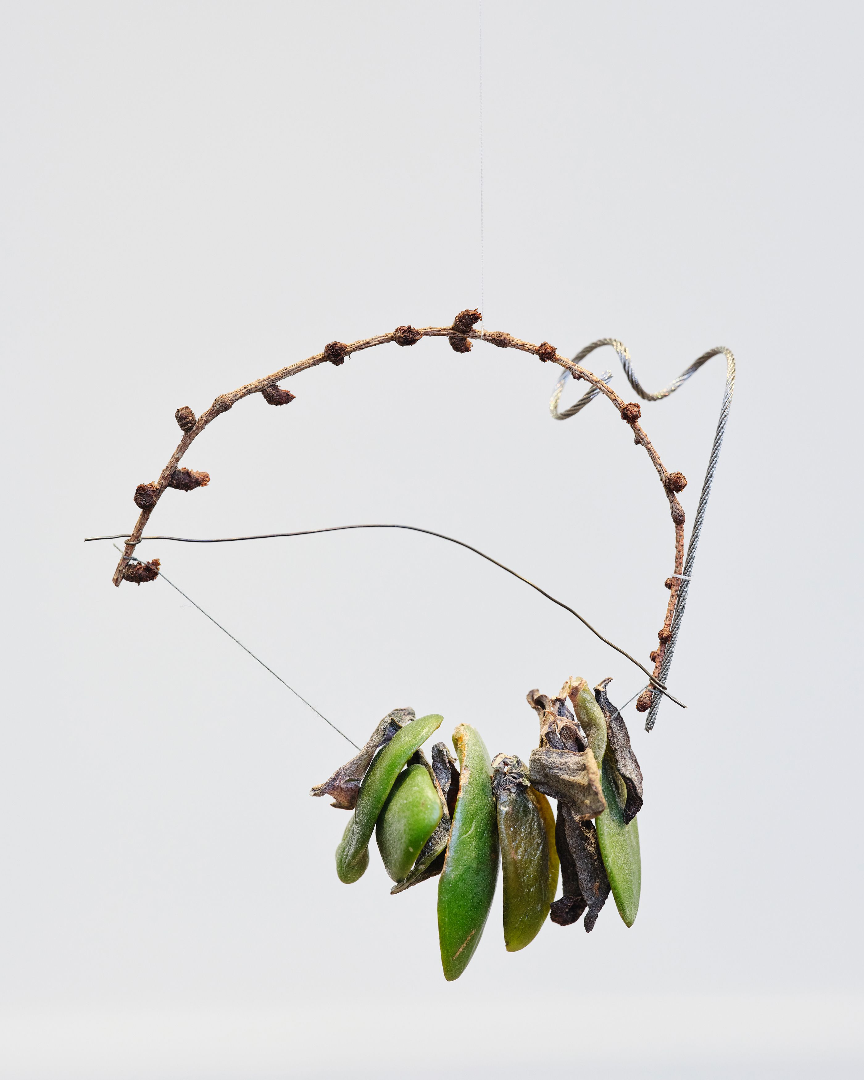 Installation work by Cecilia Vicuña